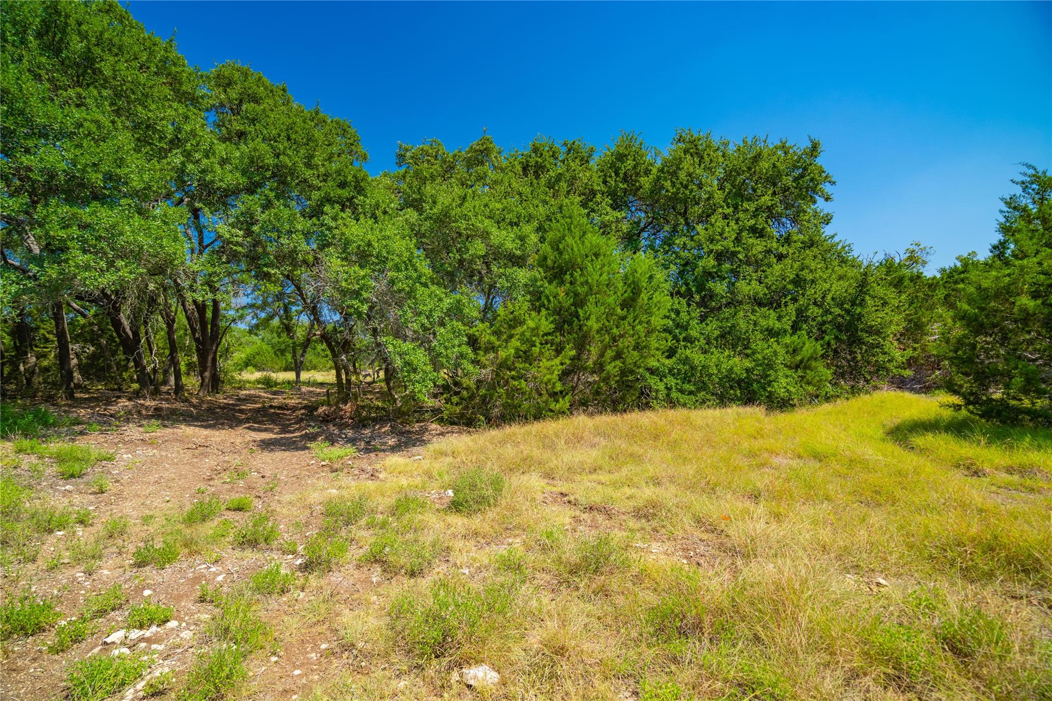 564 Bluff Springs Dr, Driftwood, TX 78619