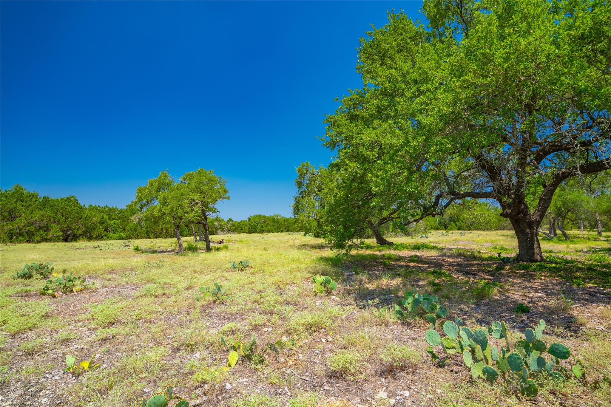 Ranch #6 Liberty Ranch Rd, Austin, TX 78737