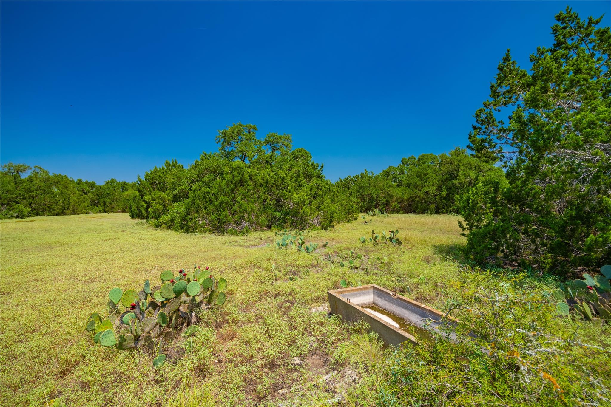 Ranch #6 Liberty Ranch Rd, Austin, TX 78737