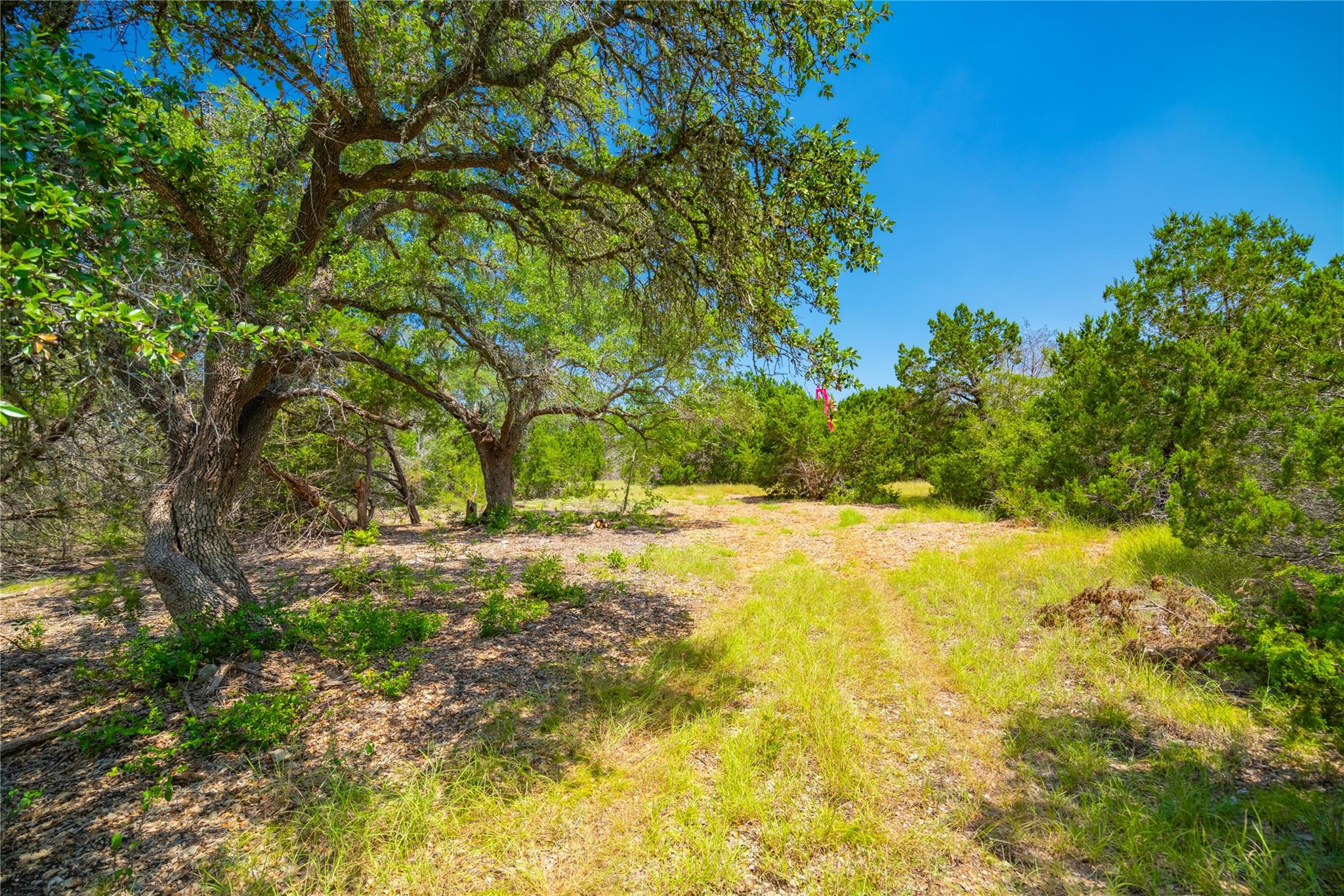 Ranch #6 Liberty Ranch Rd, Austin, TX 78737