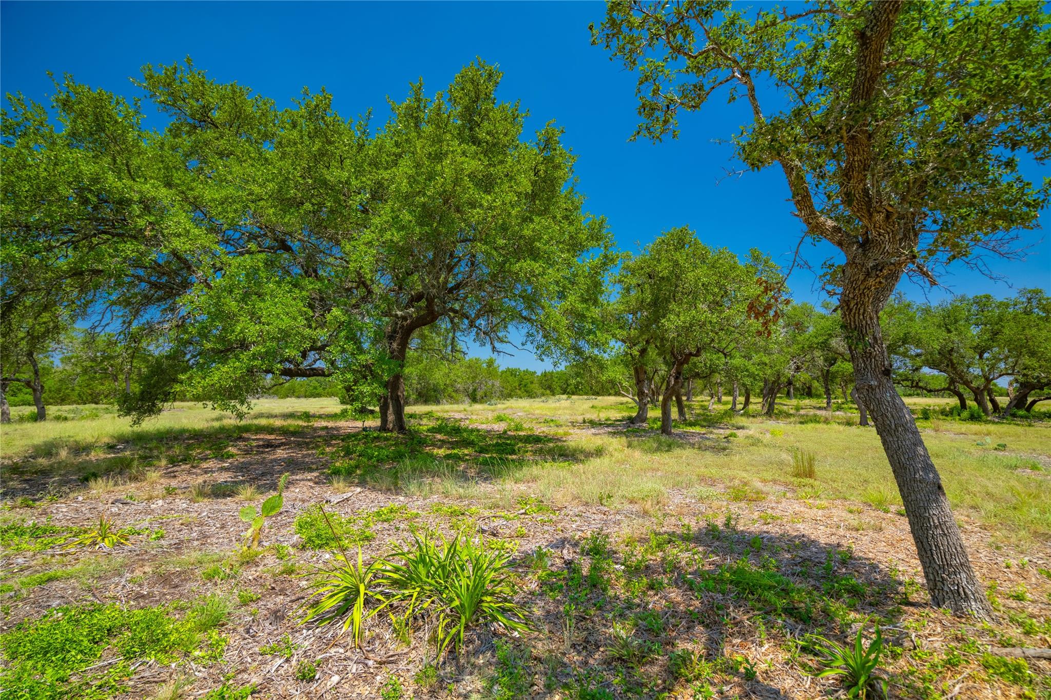 Ranch #6 Liberty Ranch Rd, Austin, TX 78737