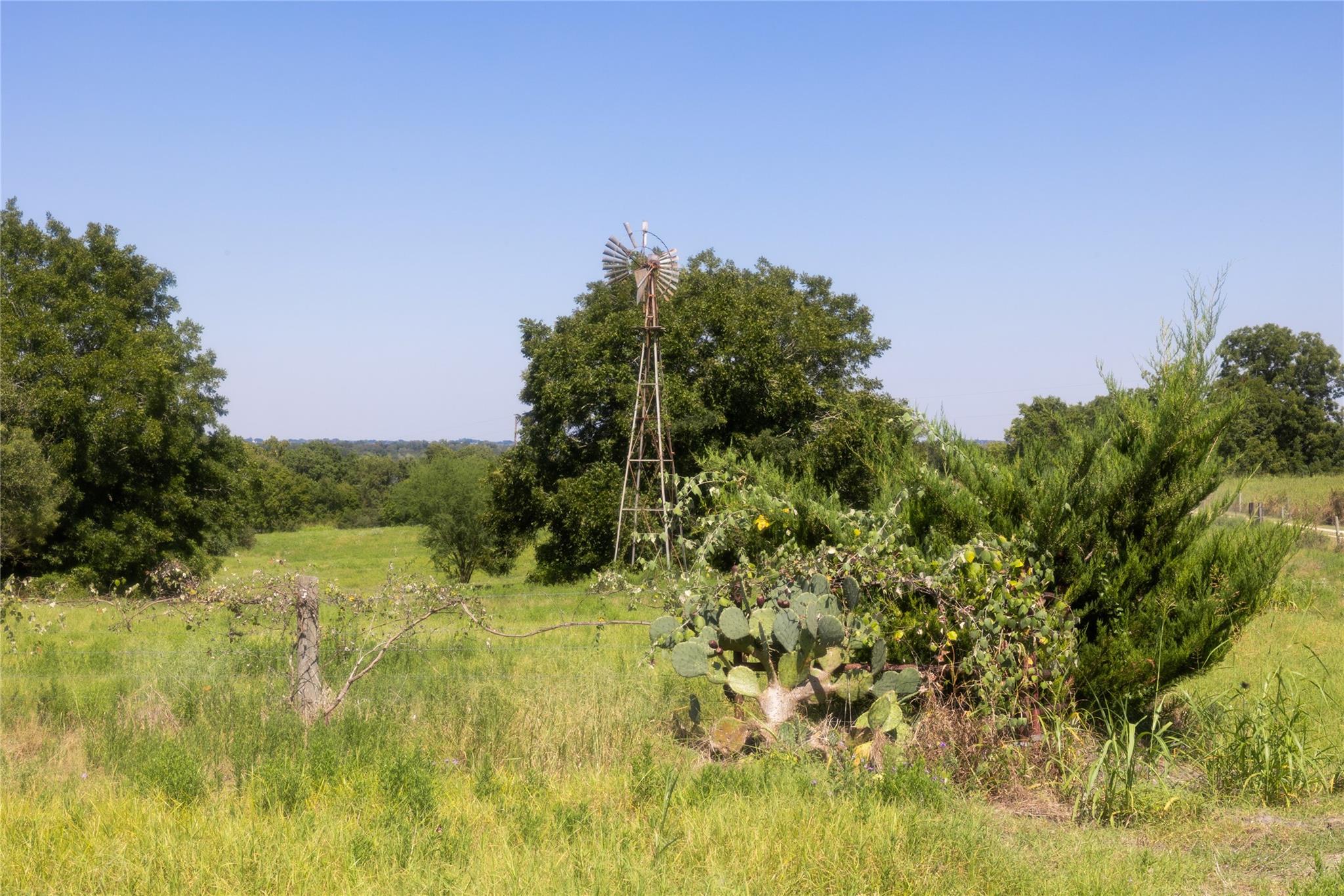 3225 Terrier Hill Ln, Brenham, TX 77833