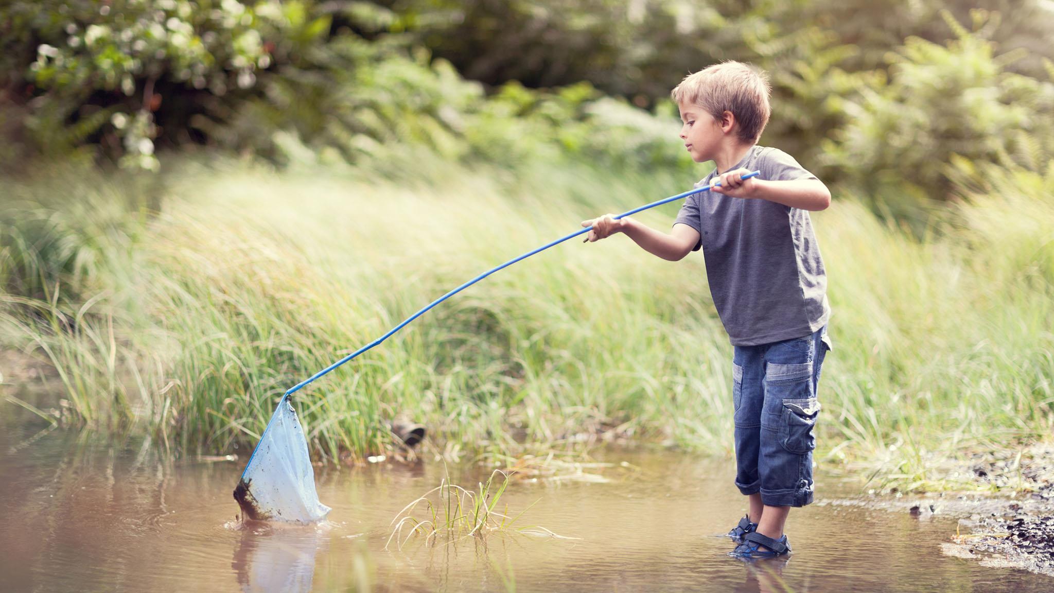 309 Foxfire Cv, Lockhart, TX 78644