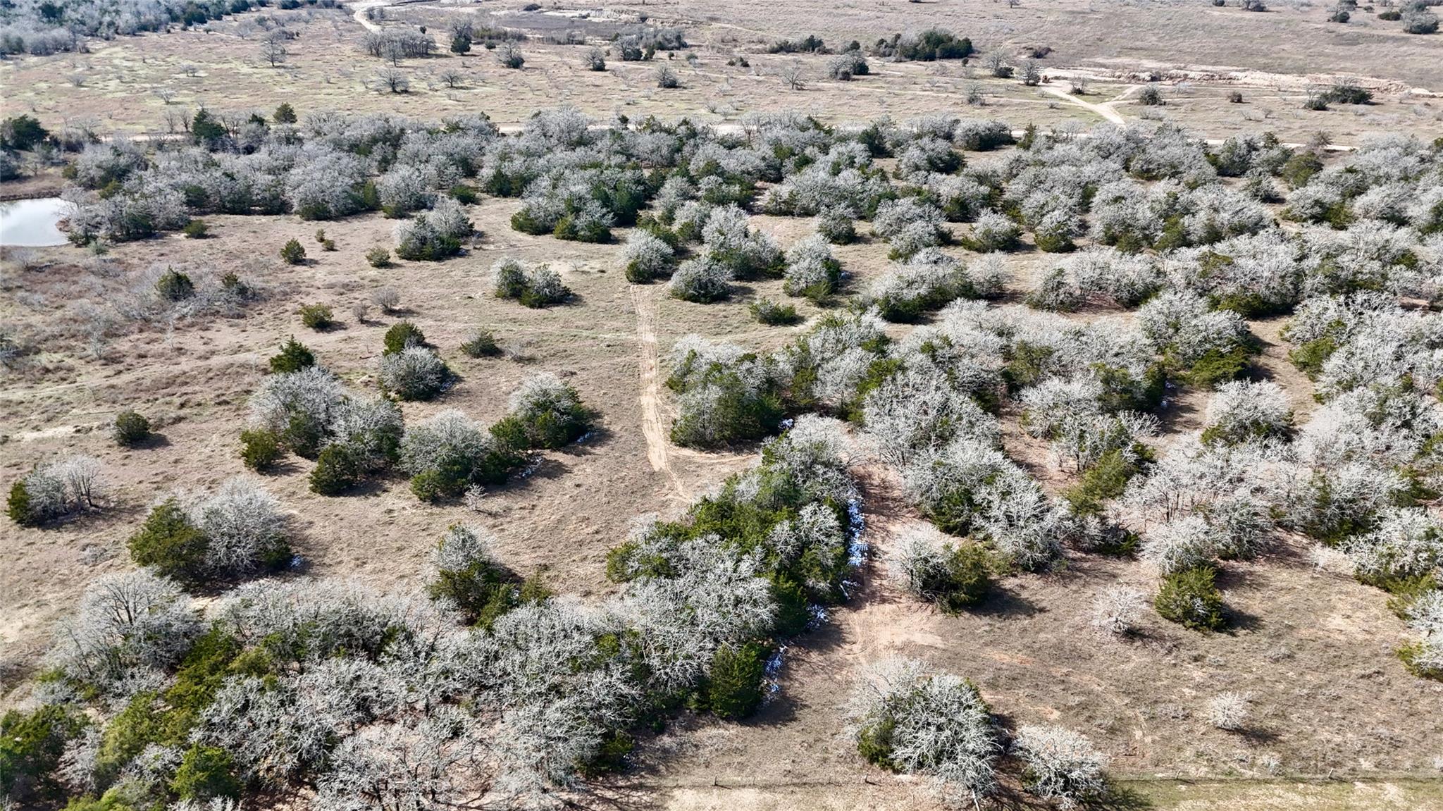 1485 Davis Rd, Muldoon, TX 78949