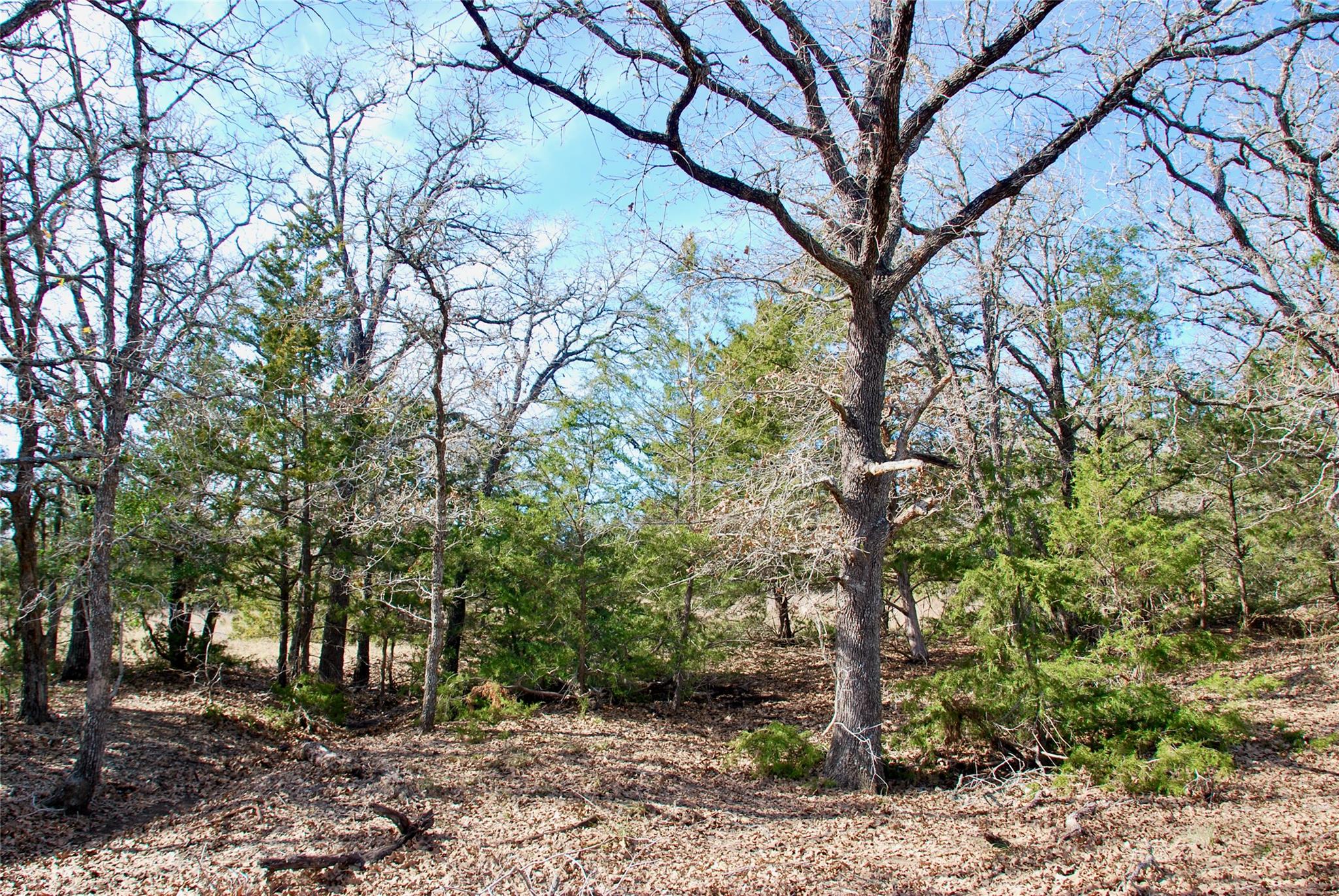 1485 Davis Rd, Muldoon, TX 78949