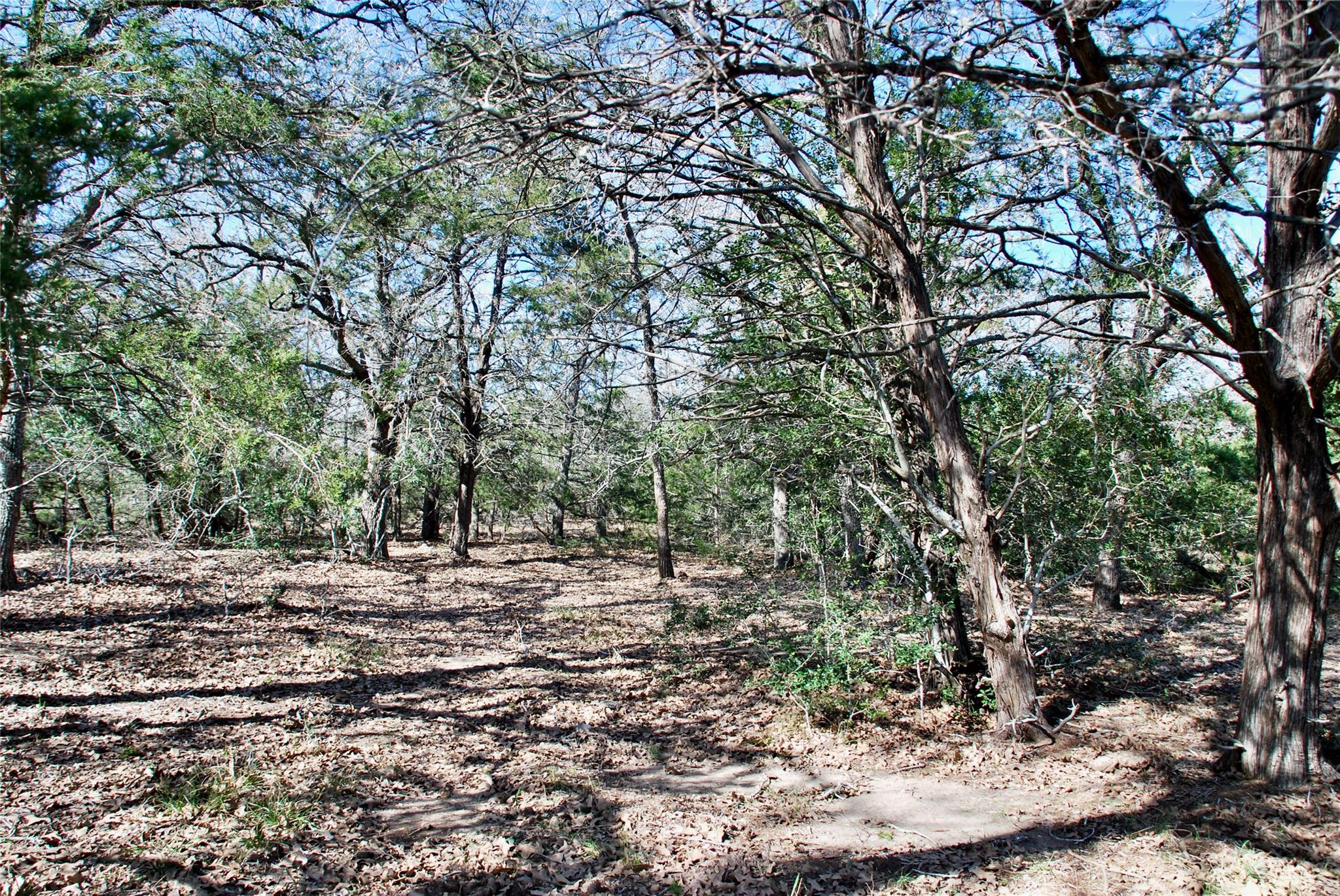 1485 Davis Rd, Muldoon, TX 78949