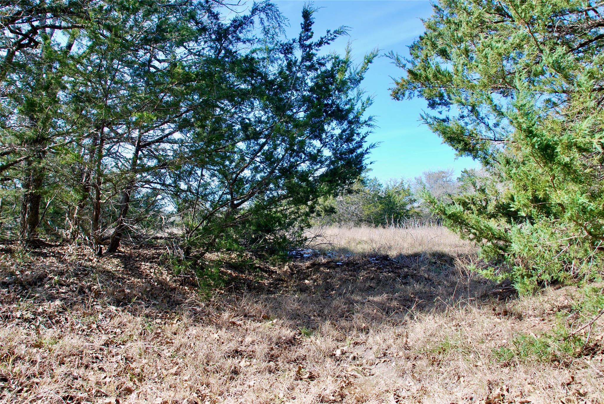 1485 Davis Rd, Muldoon, TX 78949