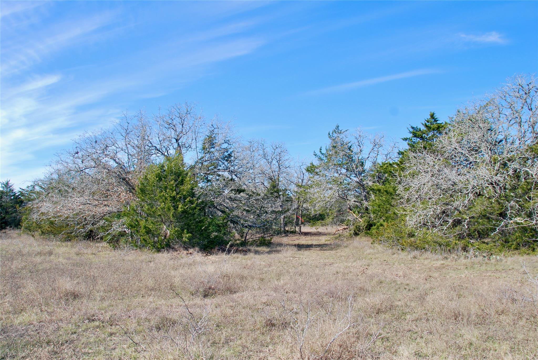 1485 Davis Rd, Muldoon, TX 78949