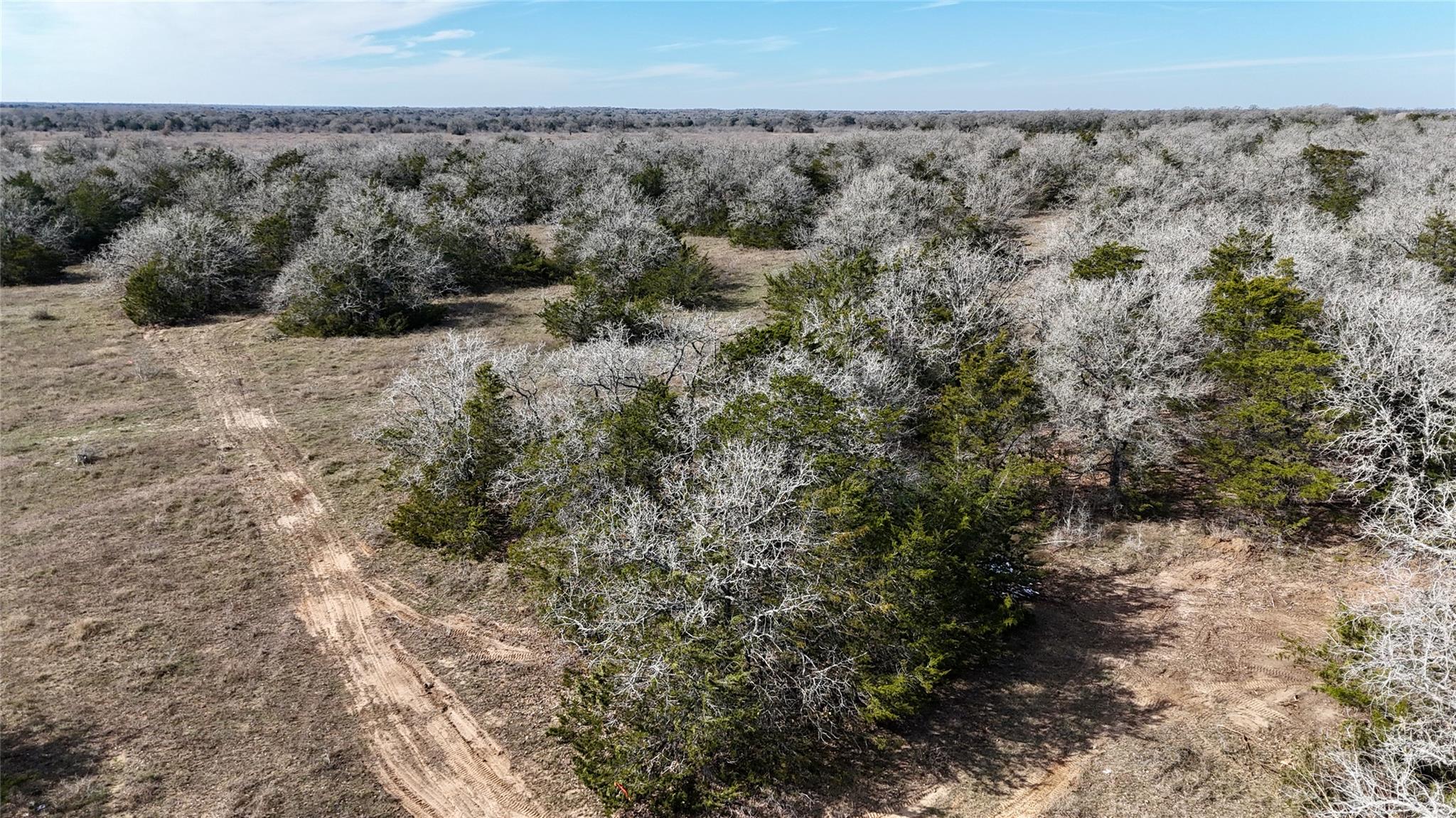 1485 Davis Rd, Muldoon, TX 78949