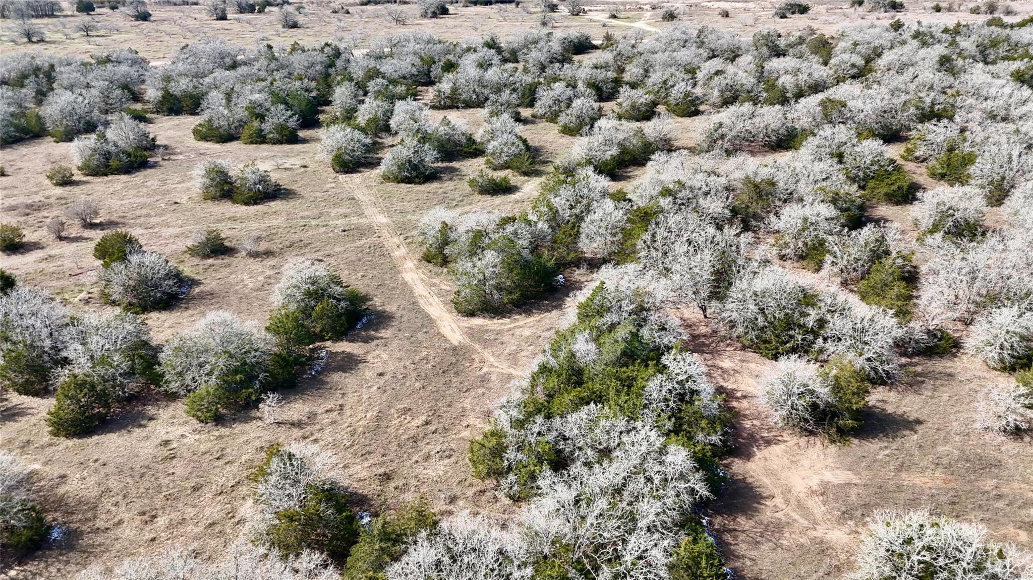 1485 Davis Rd, Muldoon, TX 78949