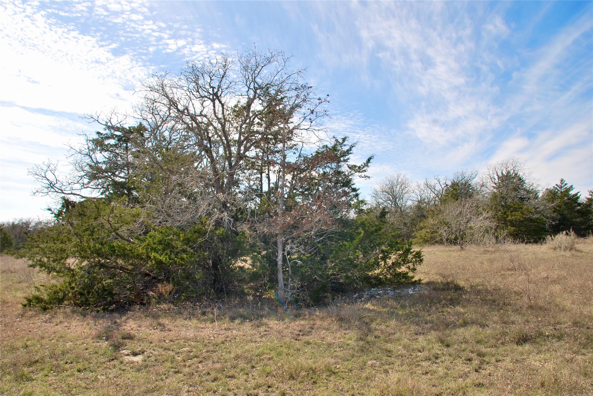 1485 Davis Rd, Muldoon, TX 78949