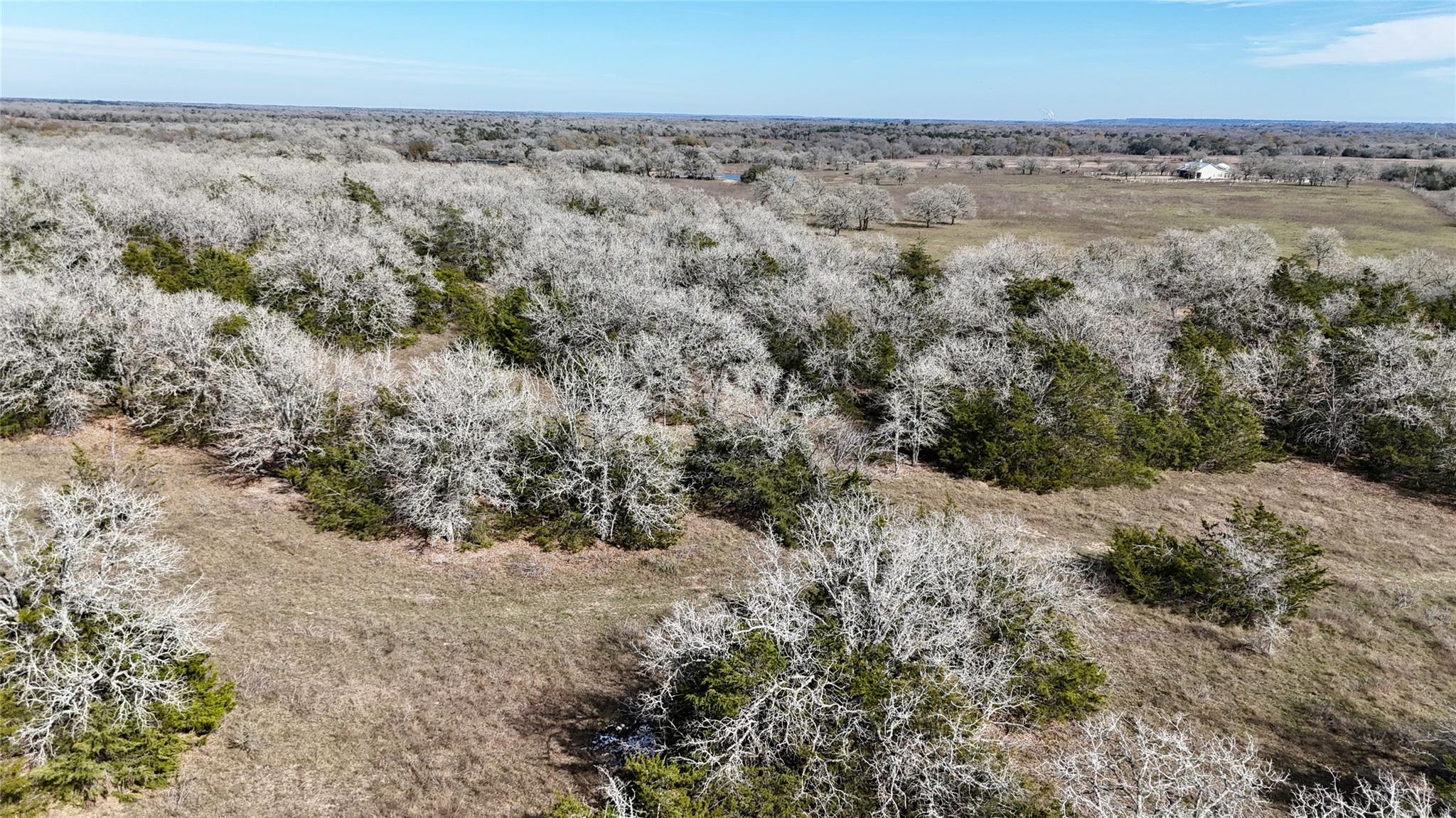 1485 Davis Rd, Muldoon, TX 78949