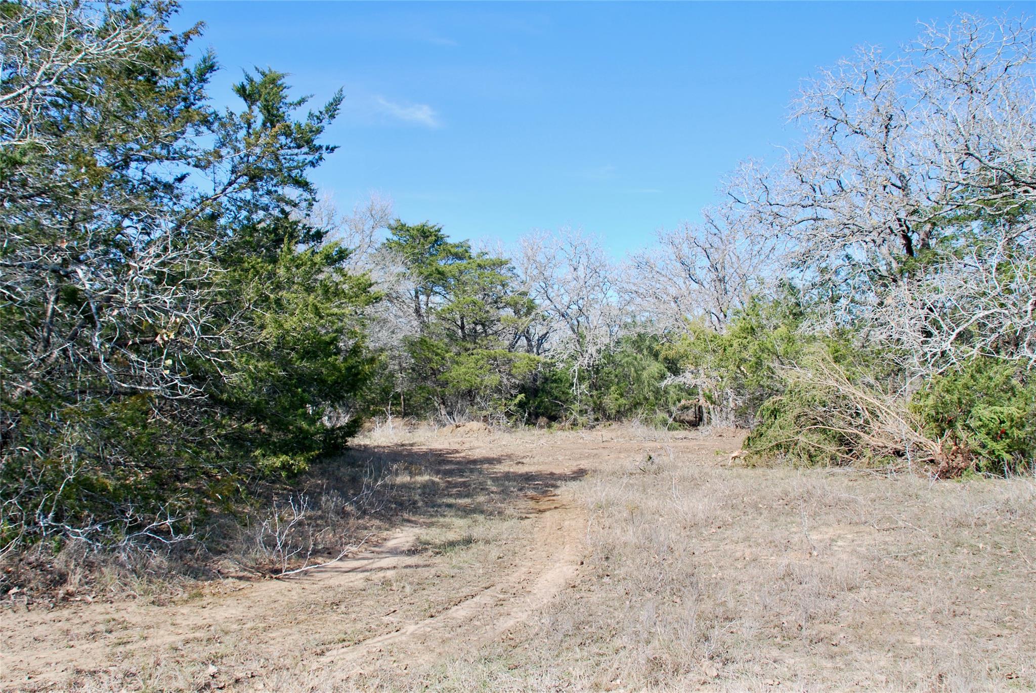 1485 Davis Rd, Muldoon, TX 78949