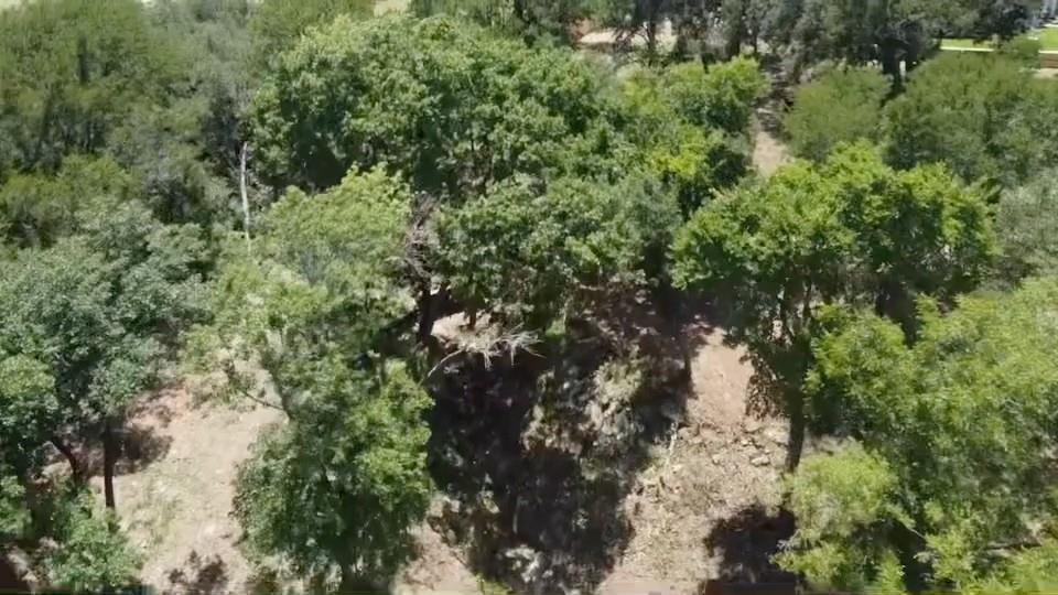 654 Creekside Dr, Belton, TX 76513