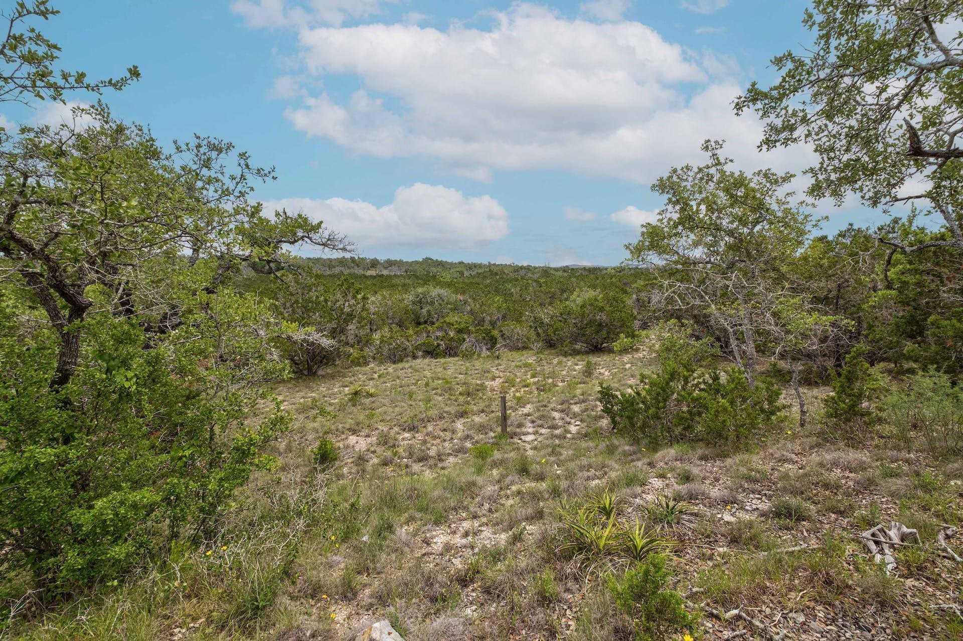 500 Shelton Ranch Rd, Dripping Springs, TX 78620
