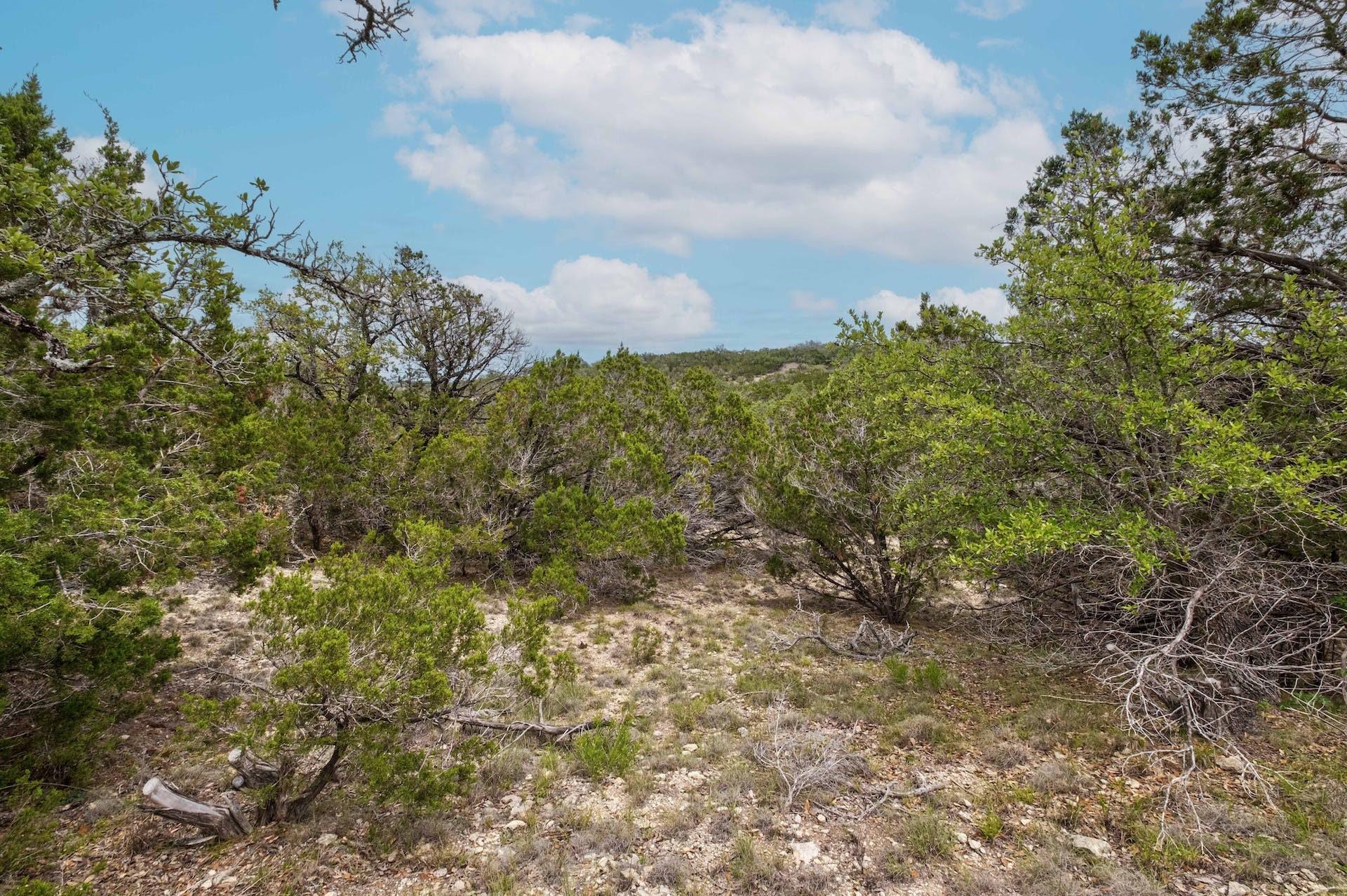 500 Shelton Ranch Rd, Dripping Springs, TX 78620