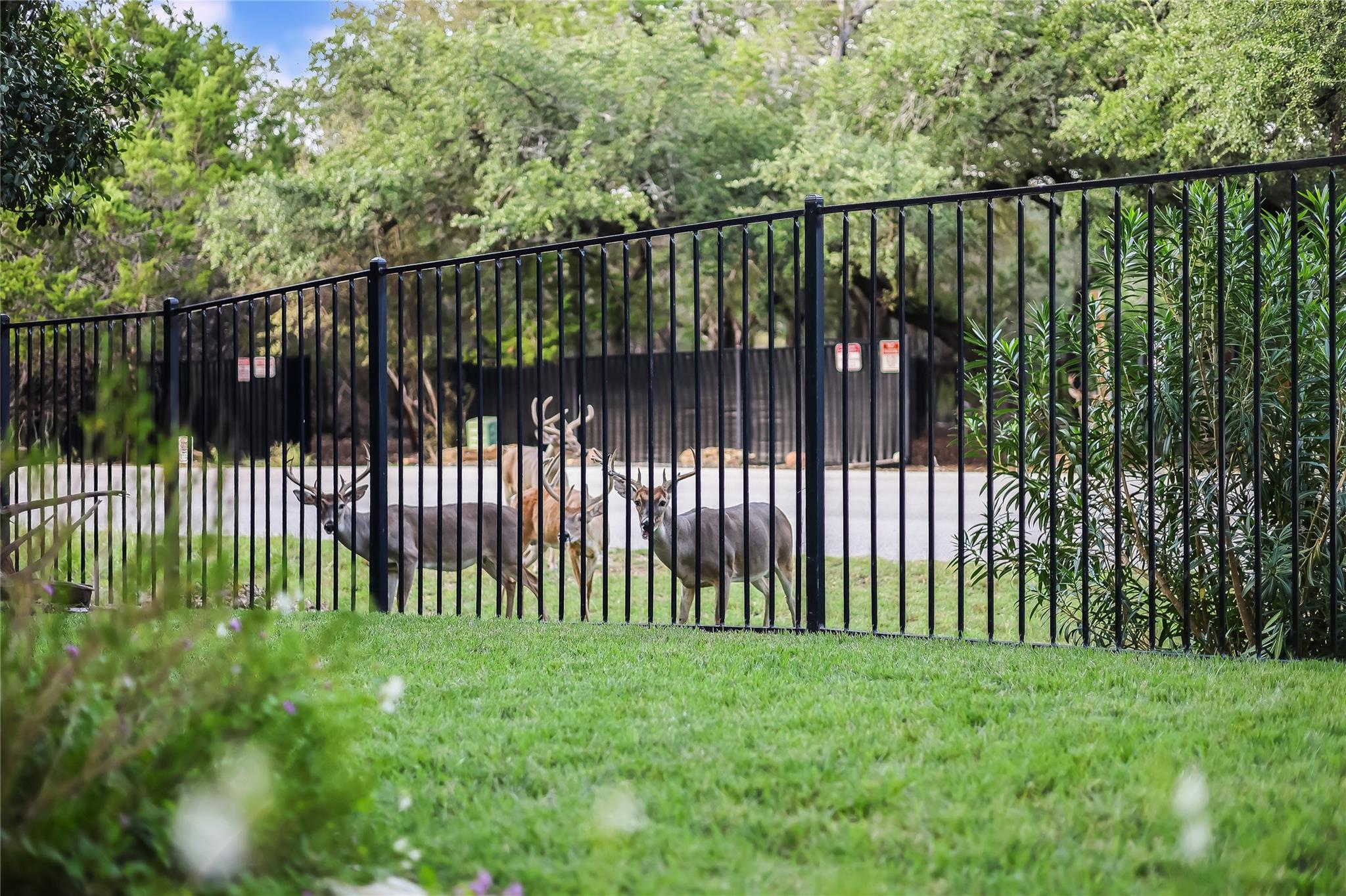 21800 Owens Cv, Lago Vista, TX 78645