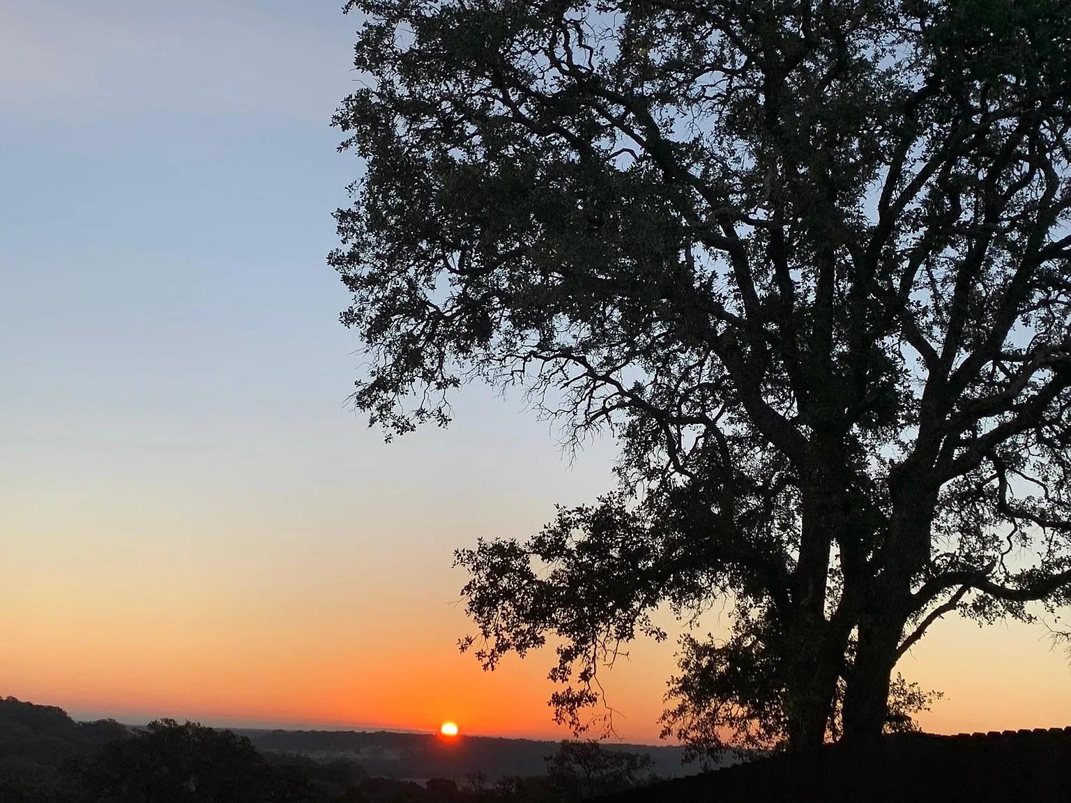 2012 Centerline Ln, Georgetown, TX 78628