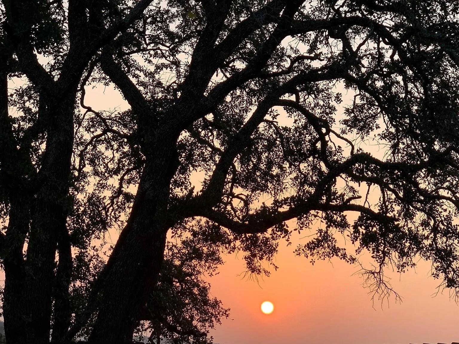 2012 Centerline Ln, Georgetown, TX 78628