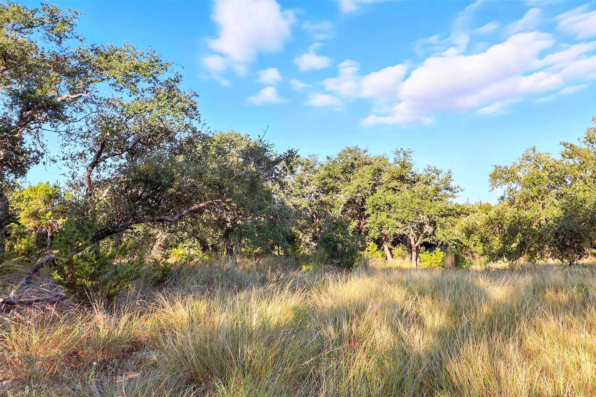 TBD Vista View Trl, Spicewood, TX 78669