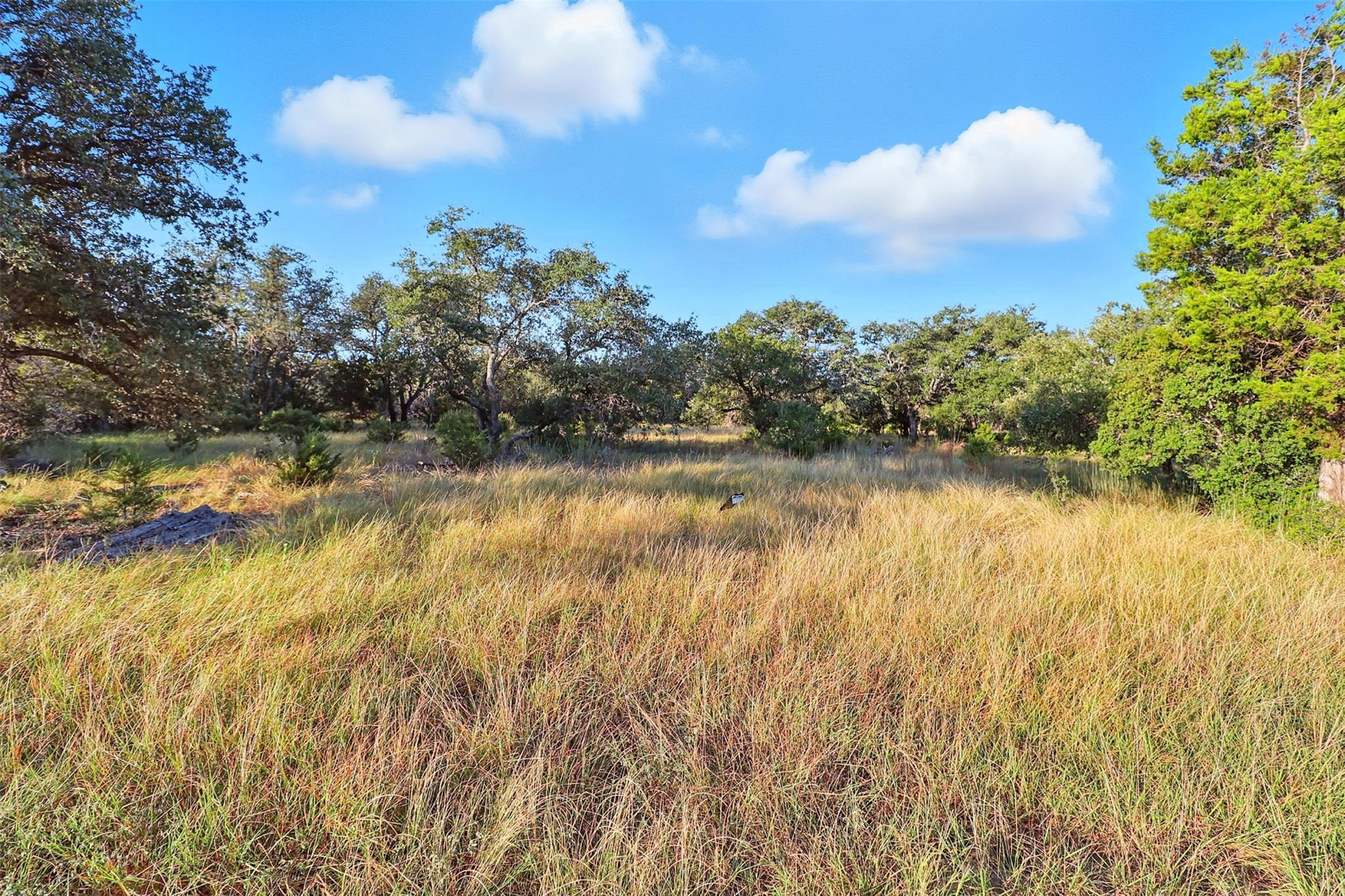 TBD Vista View Trl, Spicewood, TX 78669