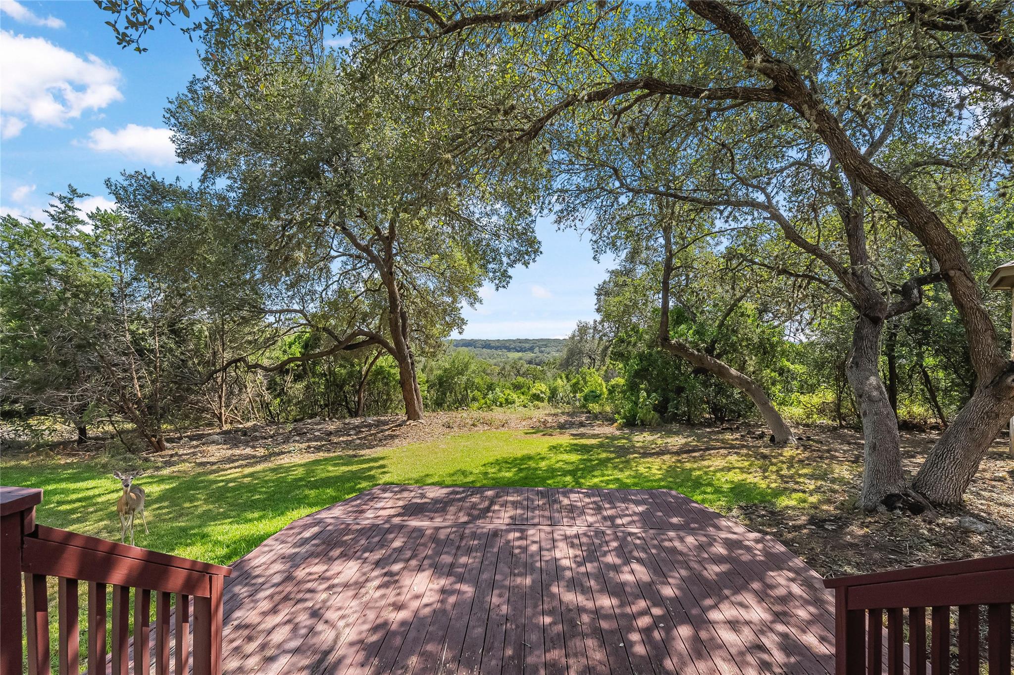 810 Bluff Ridge Ct, New Braunfels, TX 78132