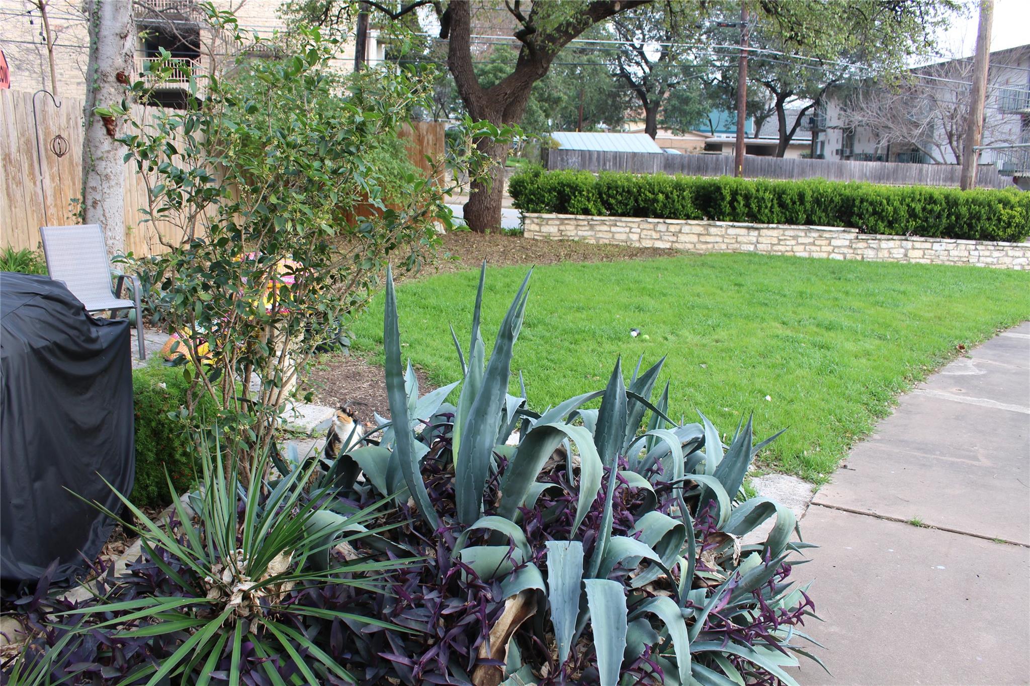 3006 Duval St # 2, Austin, TX 78705