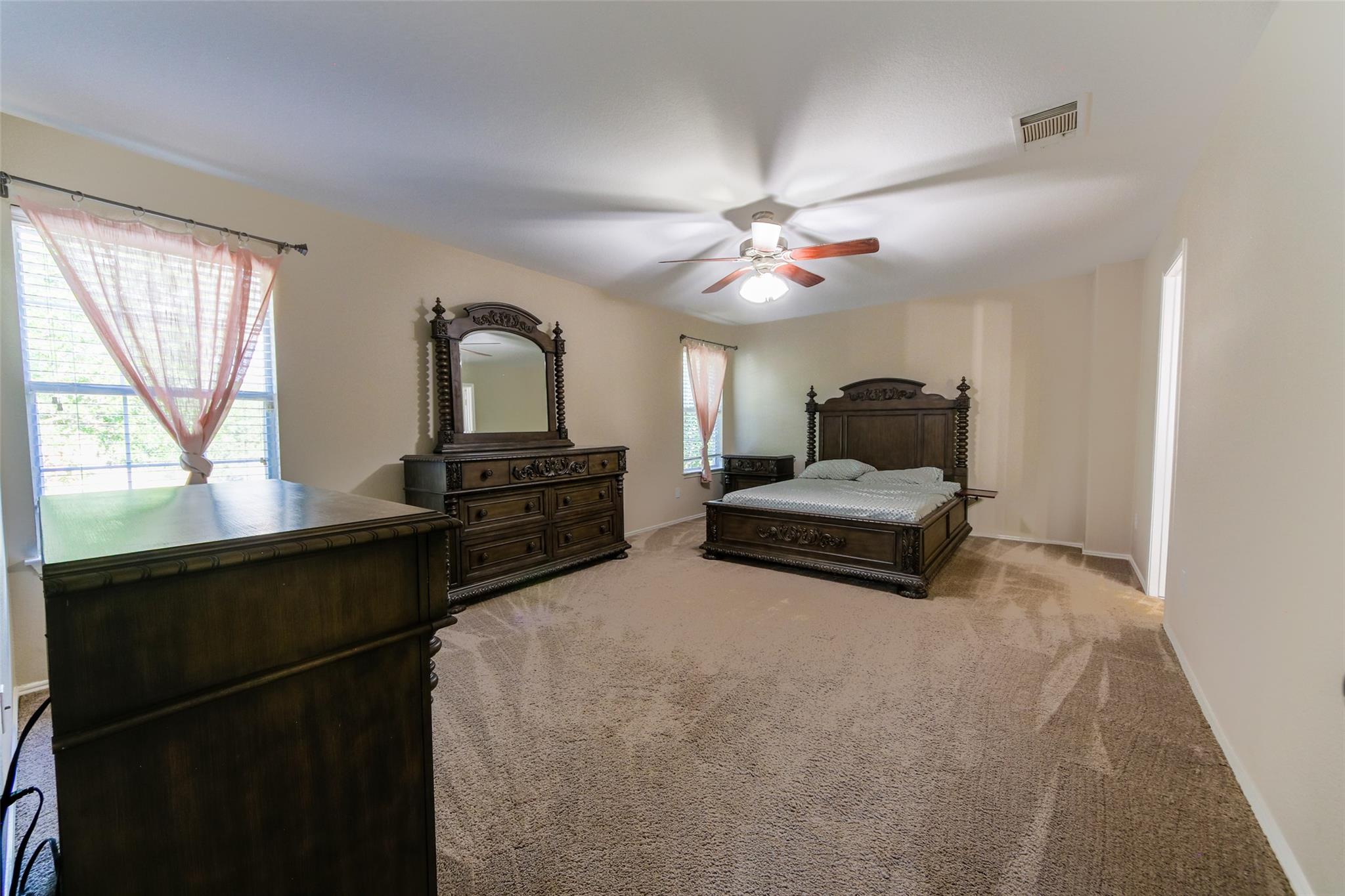 169 Firebush Way, Buda, TX 78610