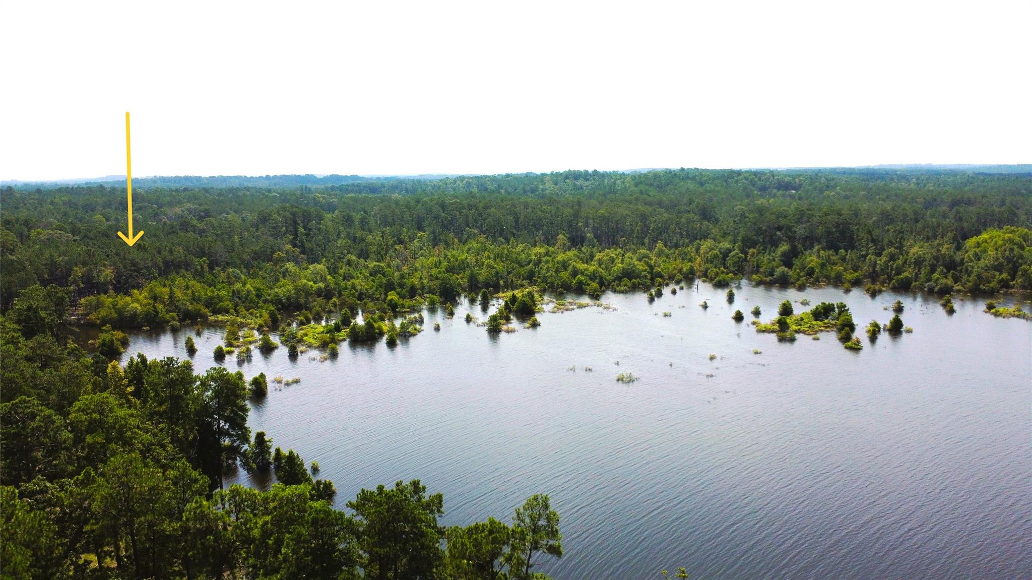 28 Live Oak Dr, Browndell, TX 75931