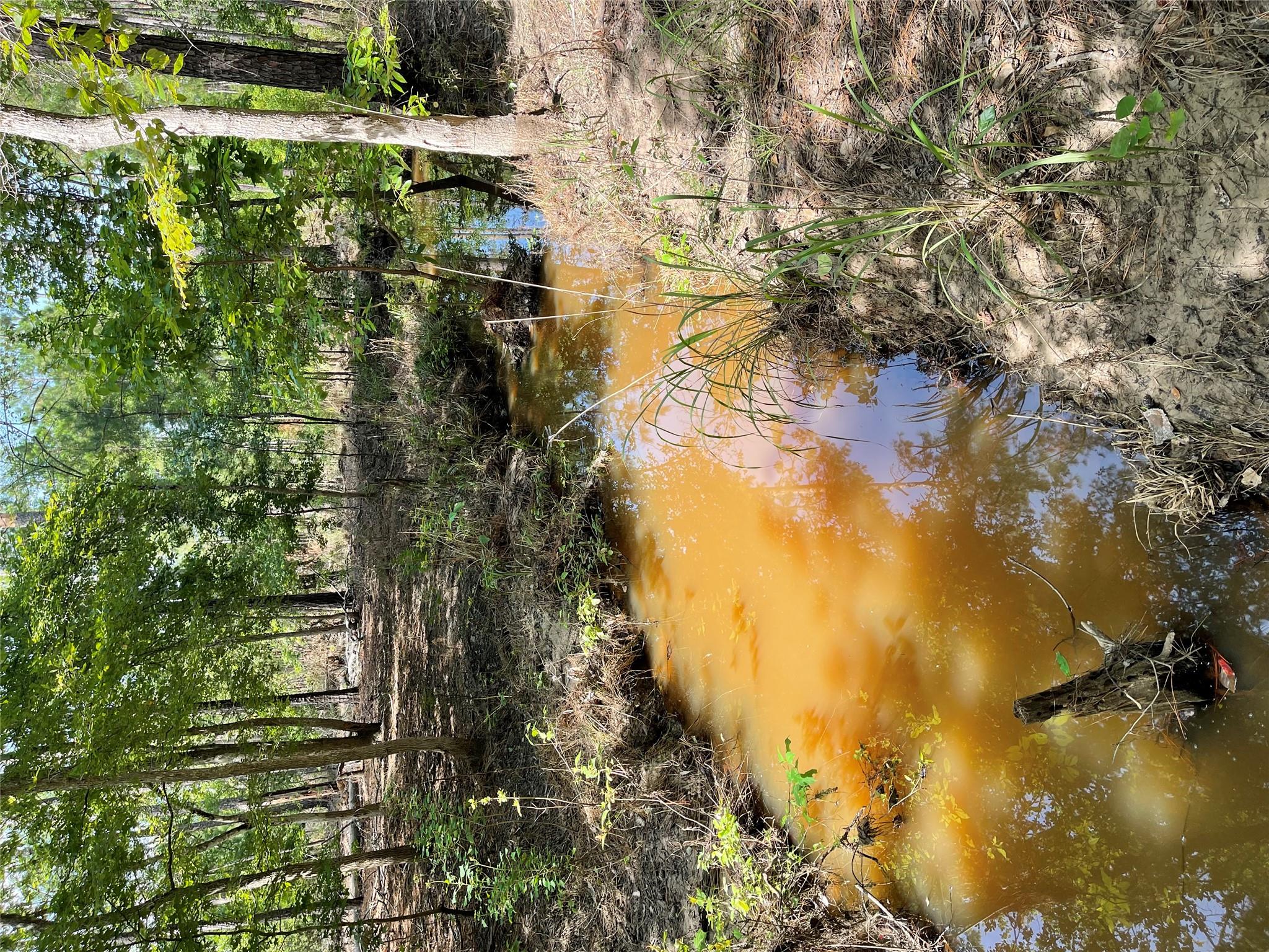 29 Live Oak Dr, Browndell, TX 75931