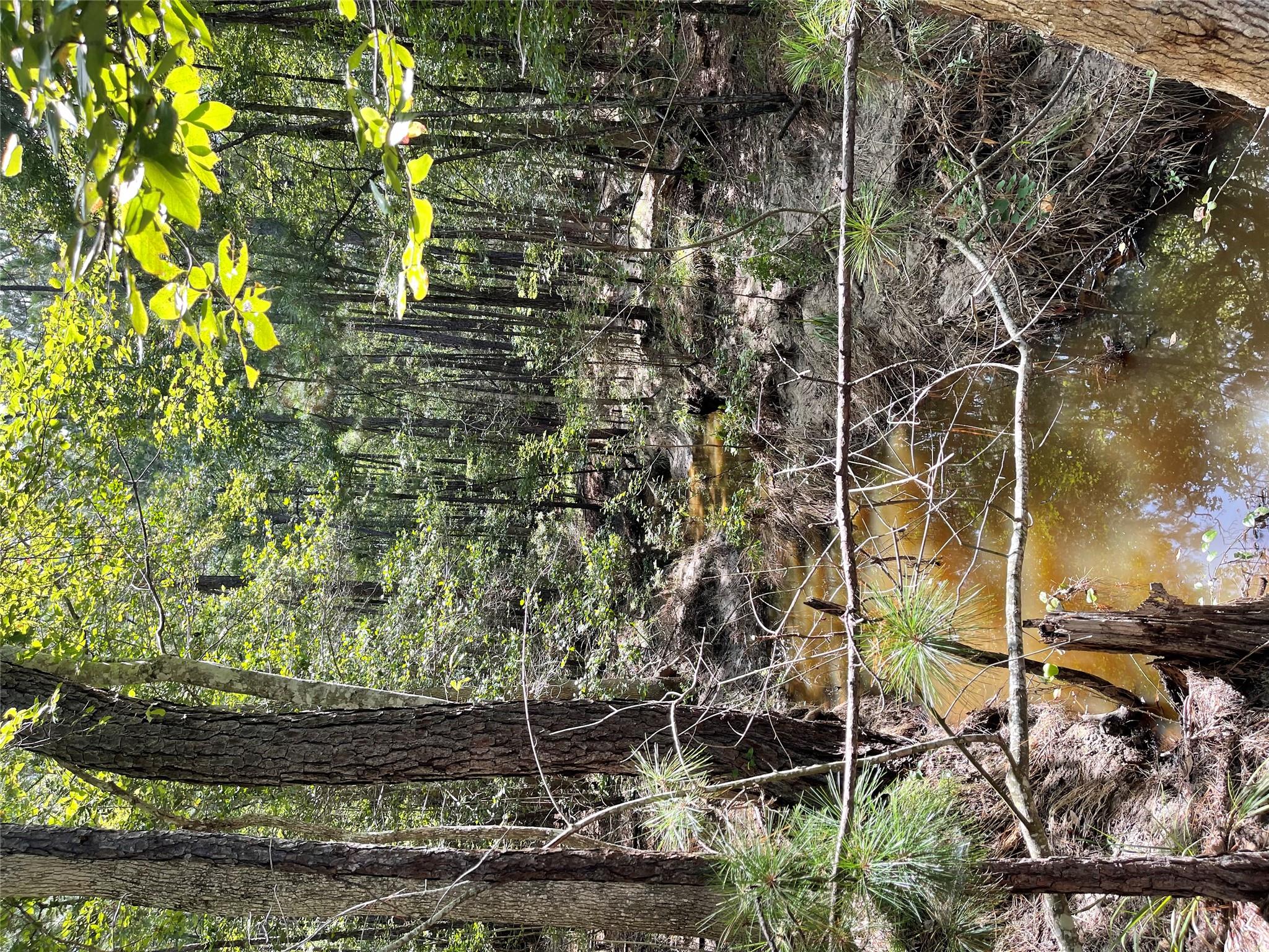 29 Live Oak Dr, Browndell, TX 75931