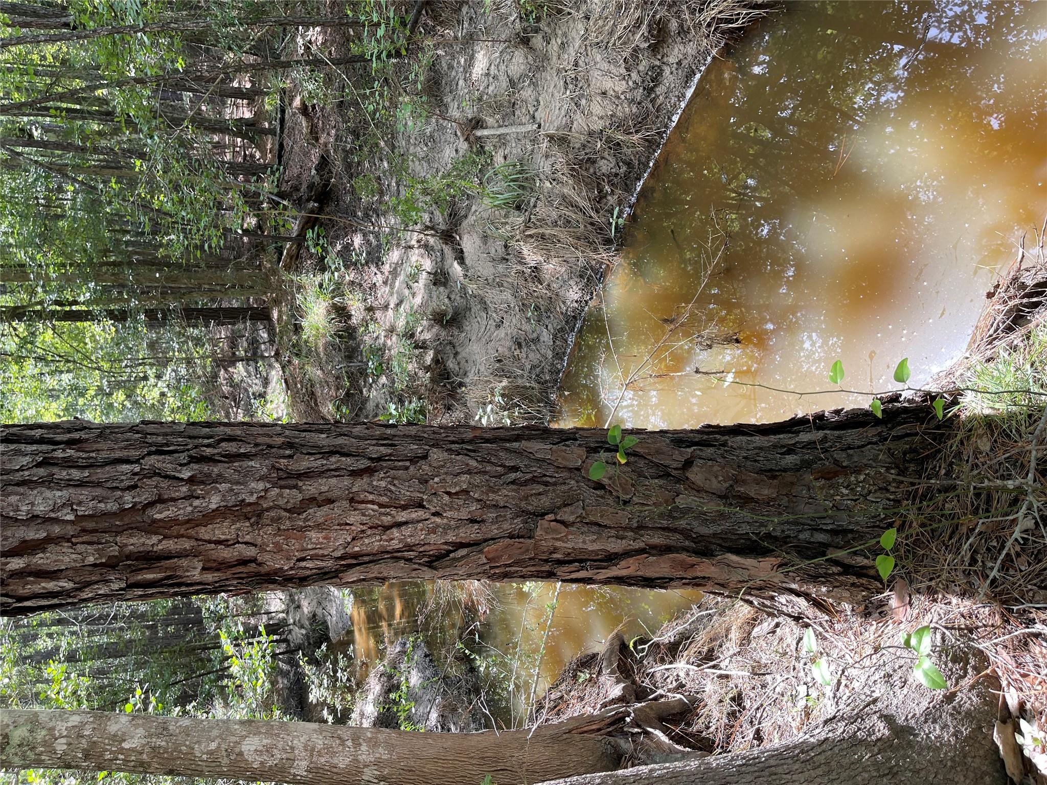 29 Live Oak Dr, Browndell, TX 75931