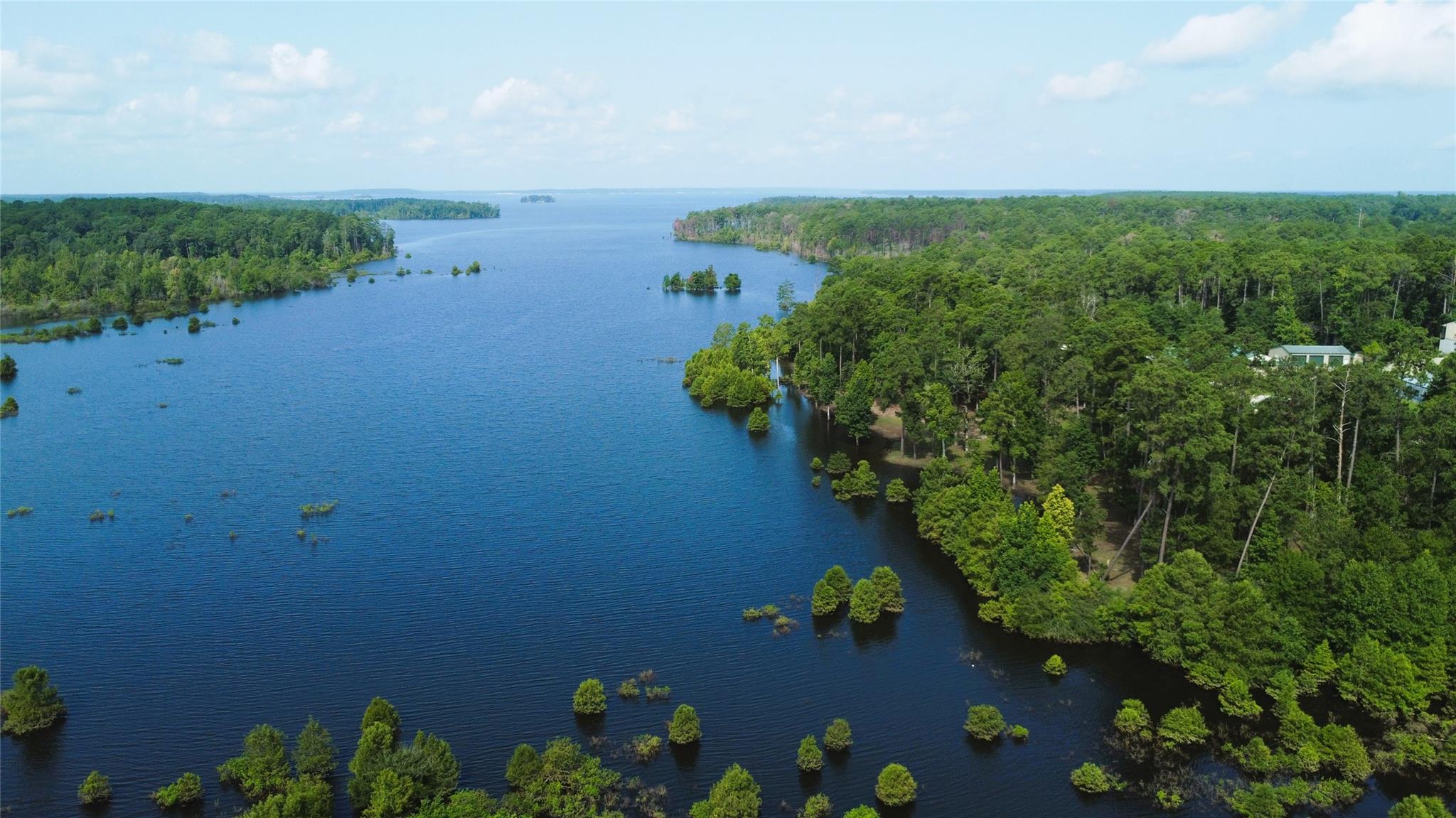 29 Live Oak Dr, Browndell, TX 75931