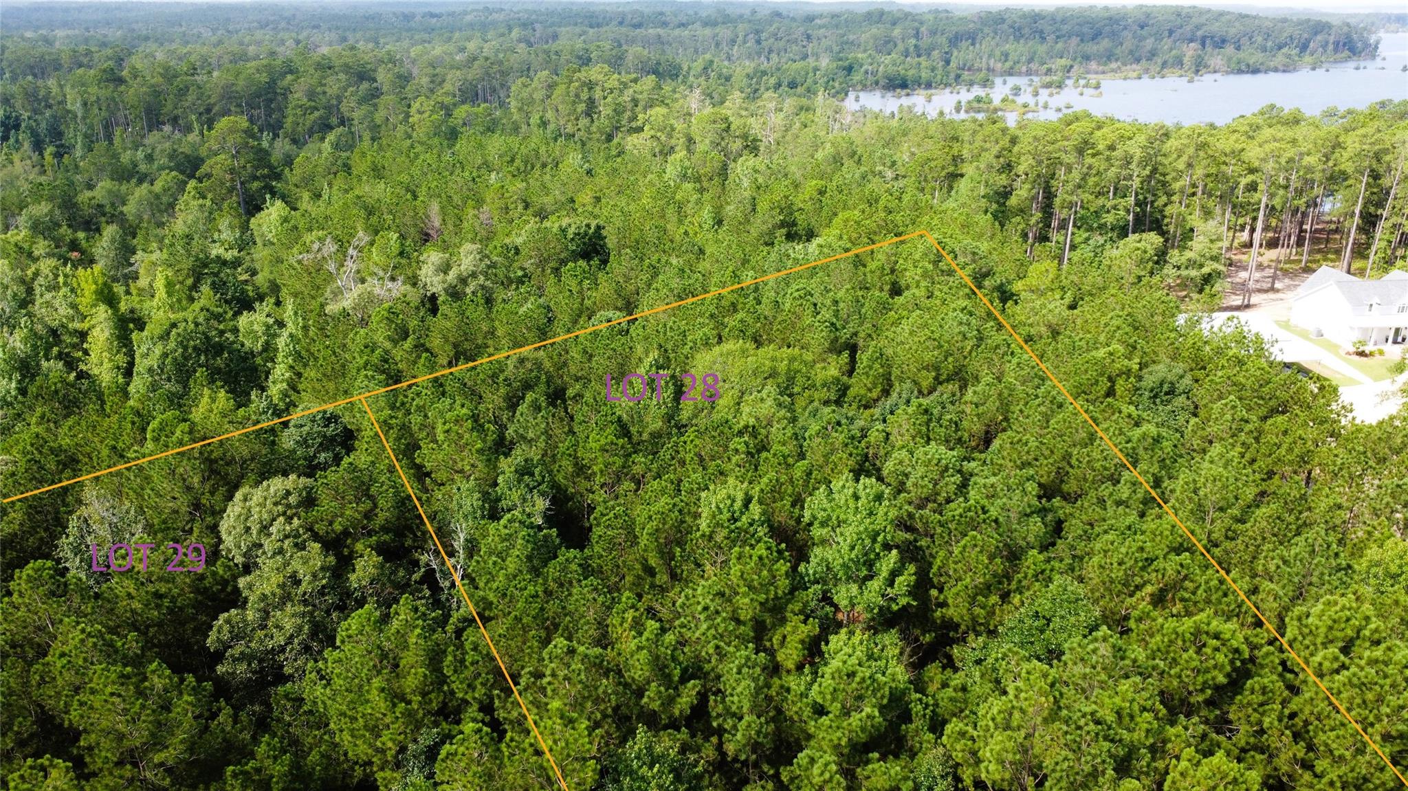 29 Live Oak Dr, Browndell, TX 75931