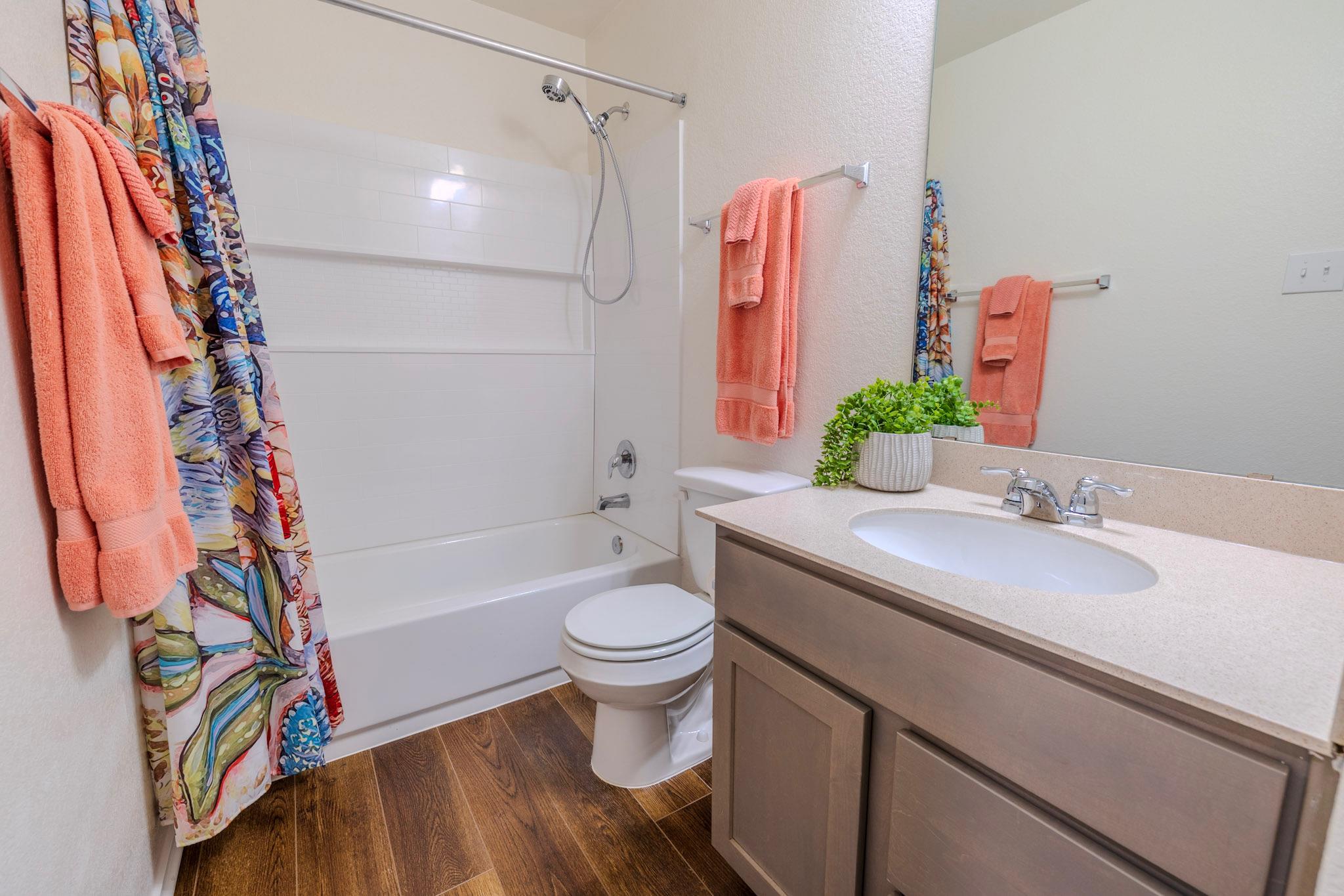 13605 Abigail Adams St, Manor, TX 78653