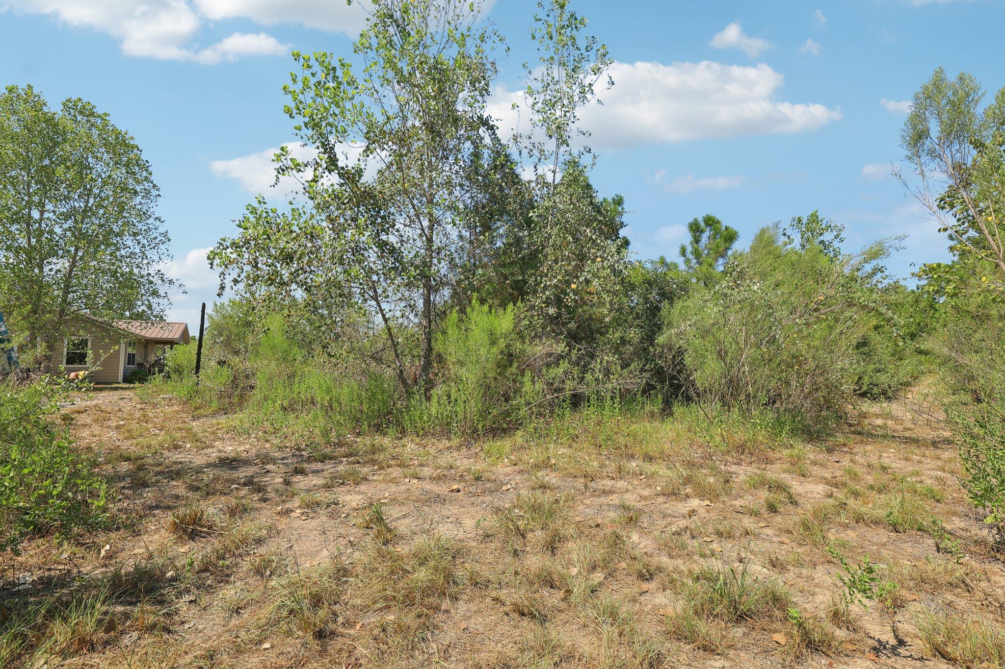 122 Rolling Pines Dr, Smithville, TX 78957