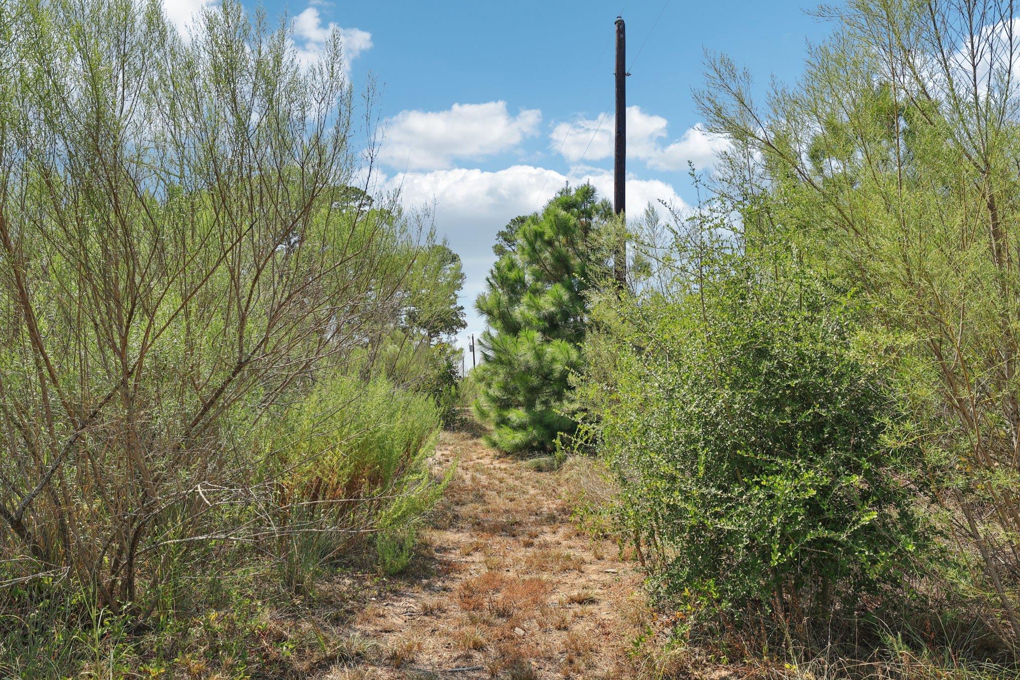 122 Rolling Pines Dr, Smithville, TX 78957