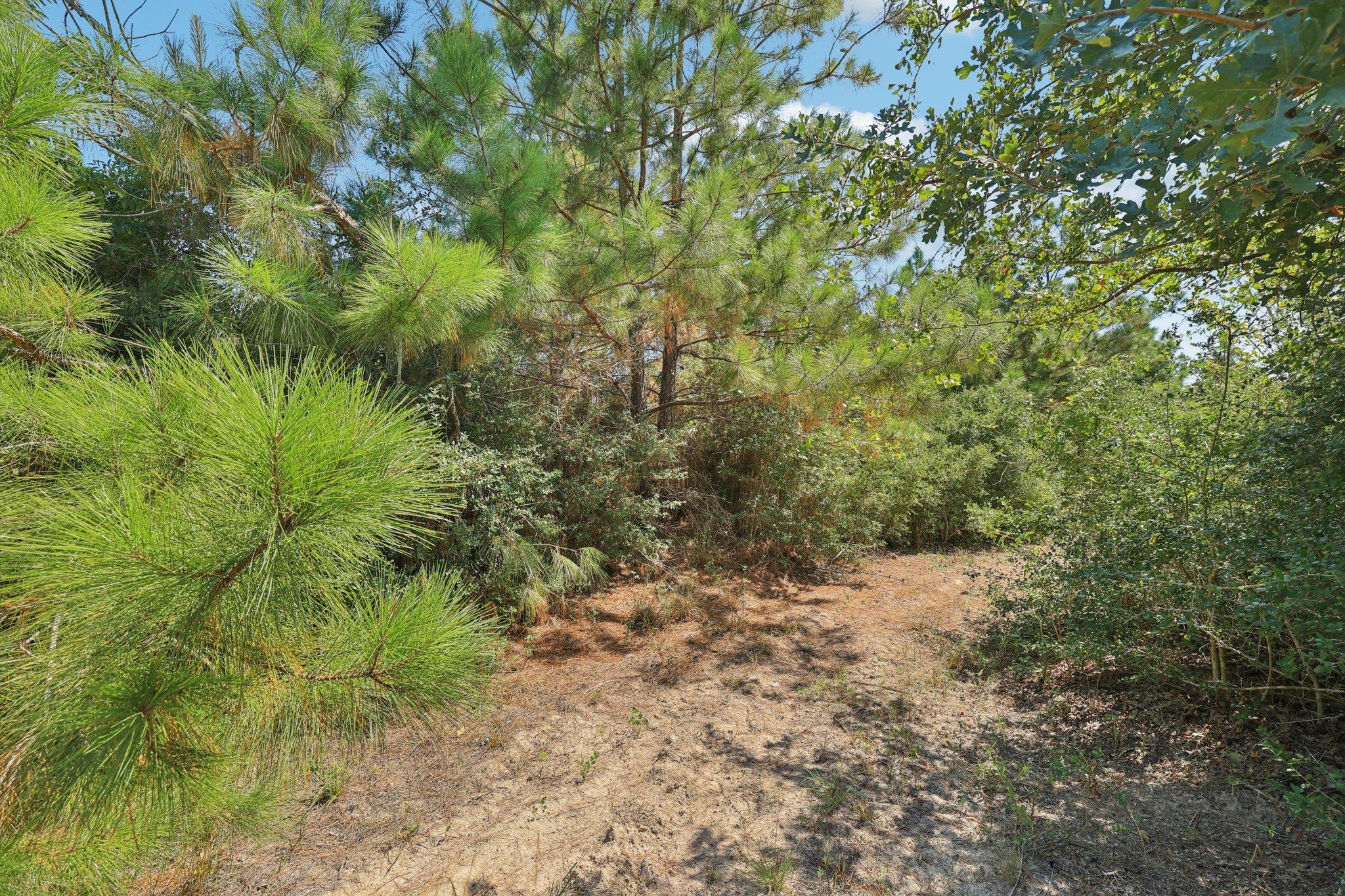 122 Rolling Pines Dr, Smithville, TX 78957