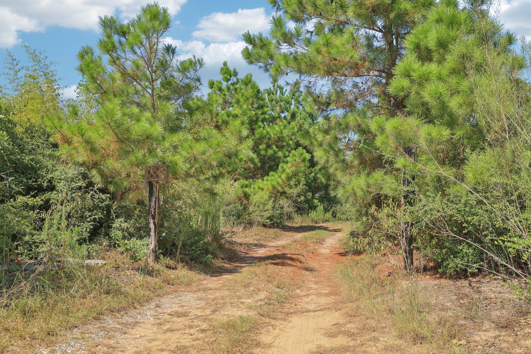 122 Rolling Pines Dr, Smithville, TX 78957