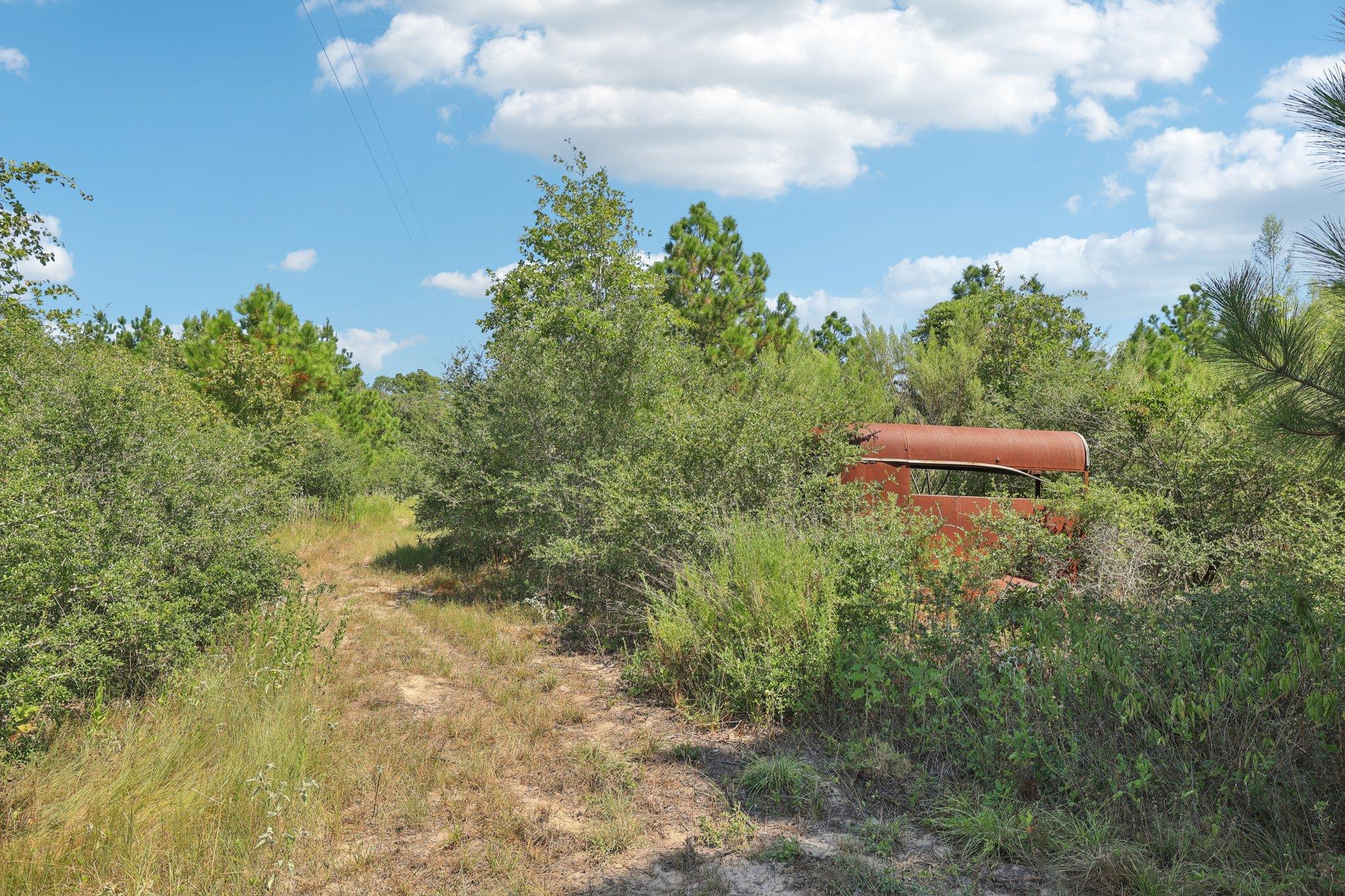 122 Rolling Pines Dr, Smithville, TX 78957