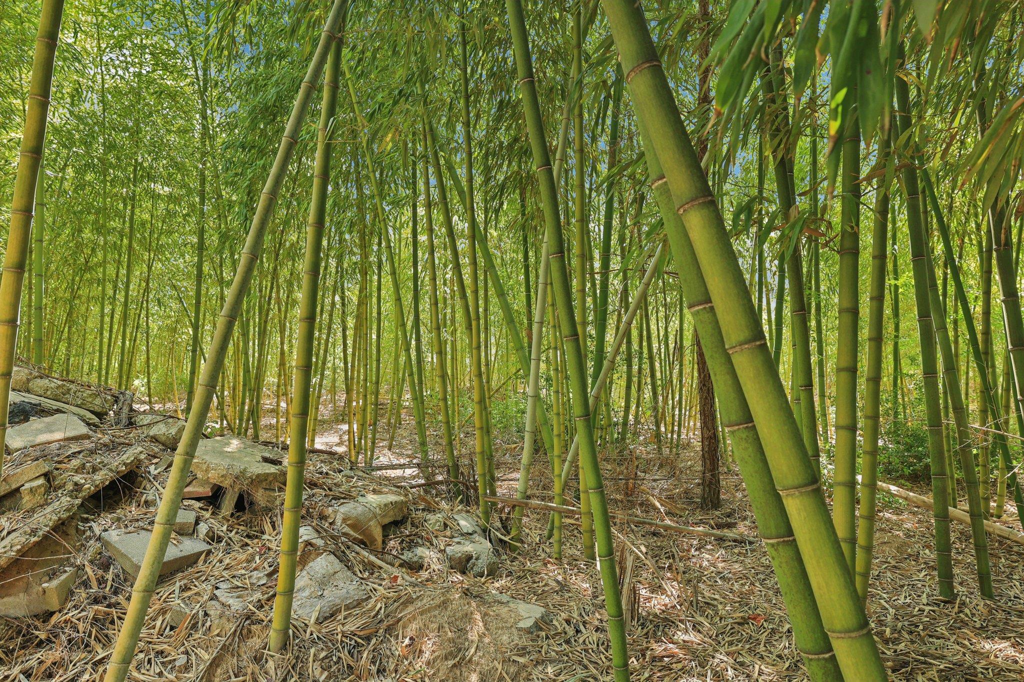 122 Rolling Pines Dr, Smithville, TX 78957