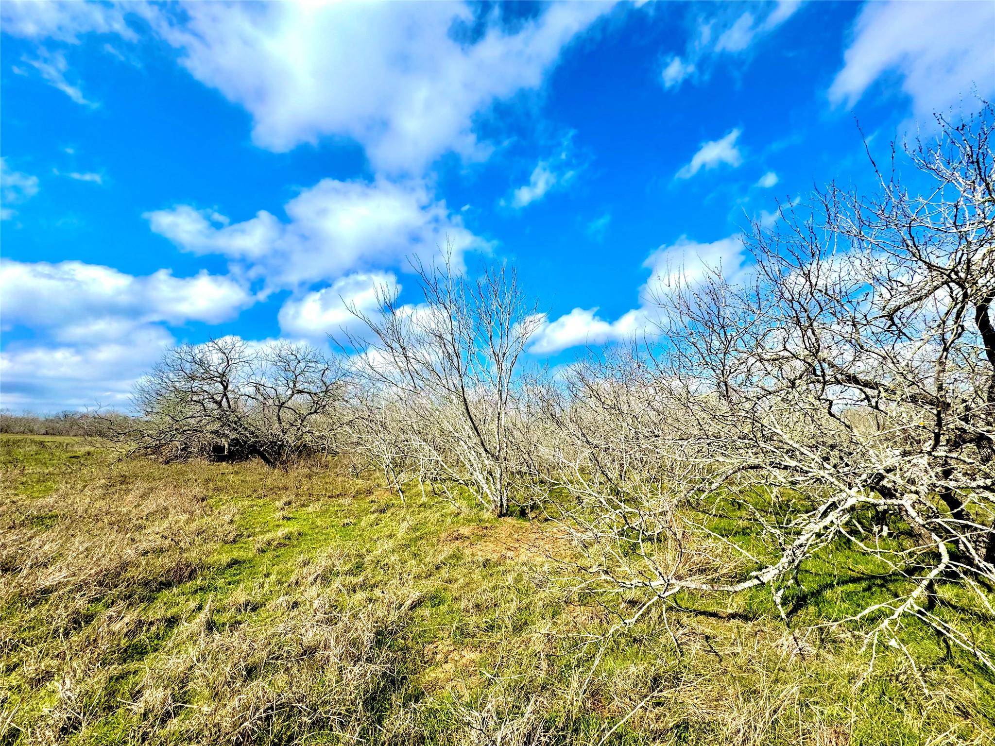 1118 County Road 447, Waelder, TX 78959