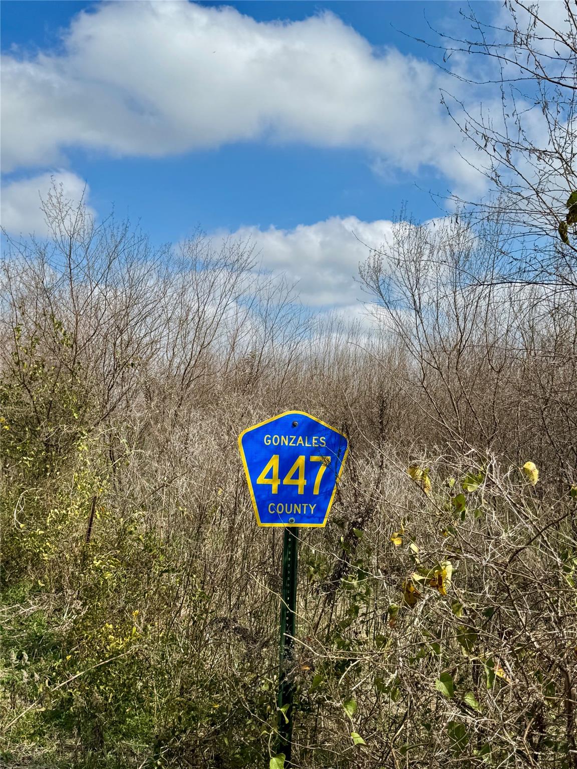 1118 County Road 447, Waelder, TX 78959