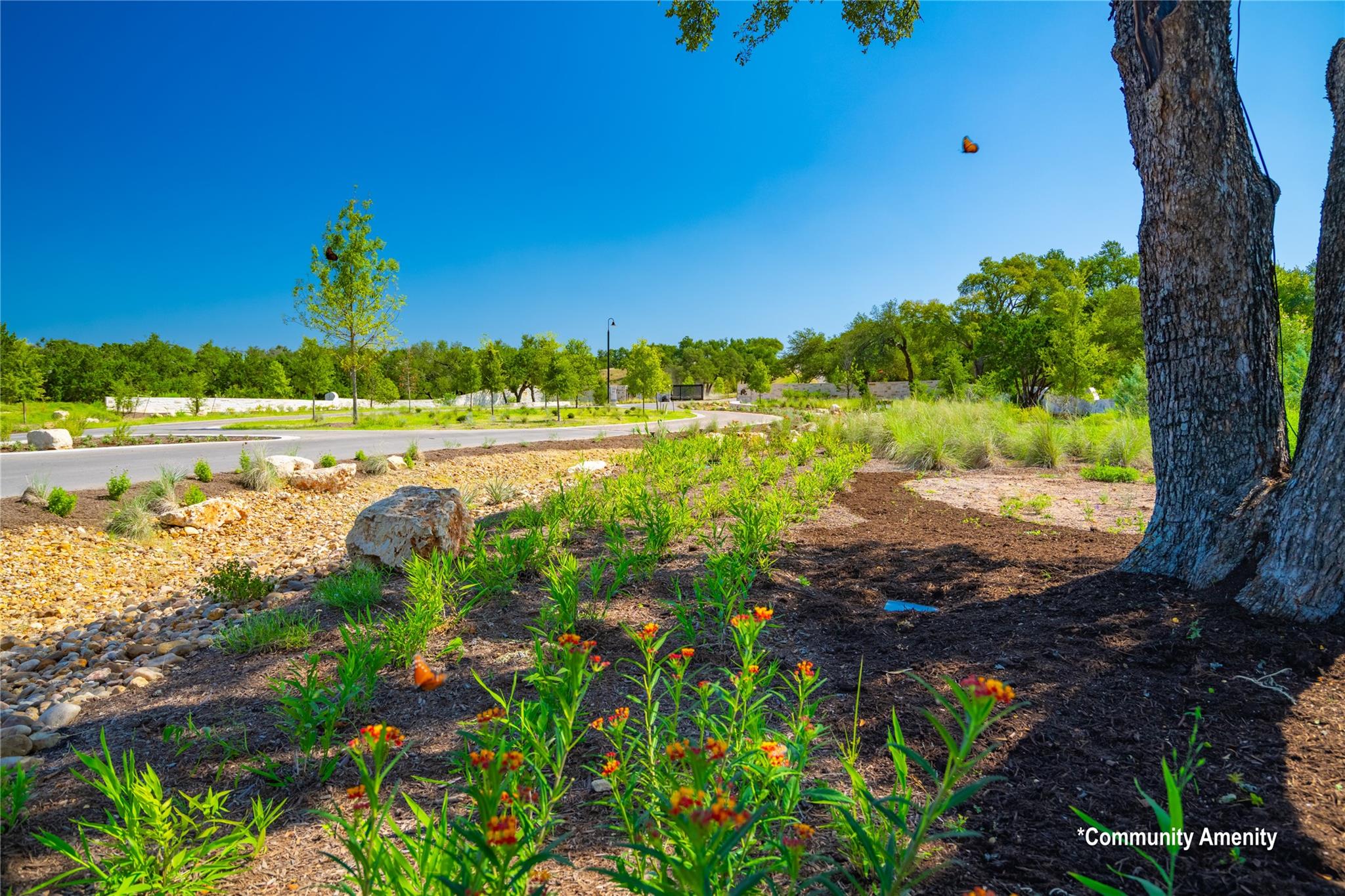 7327 Spiro Trl, Austin, TX 78738