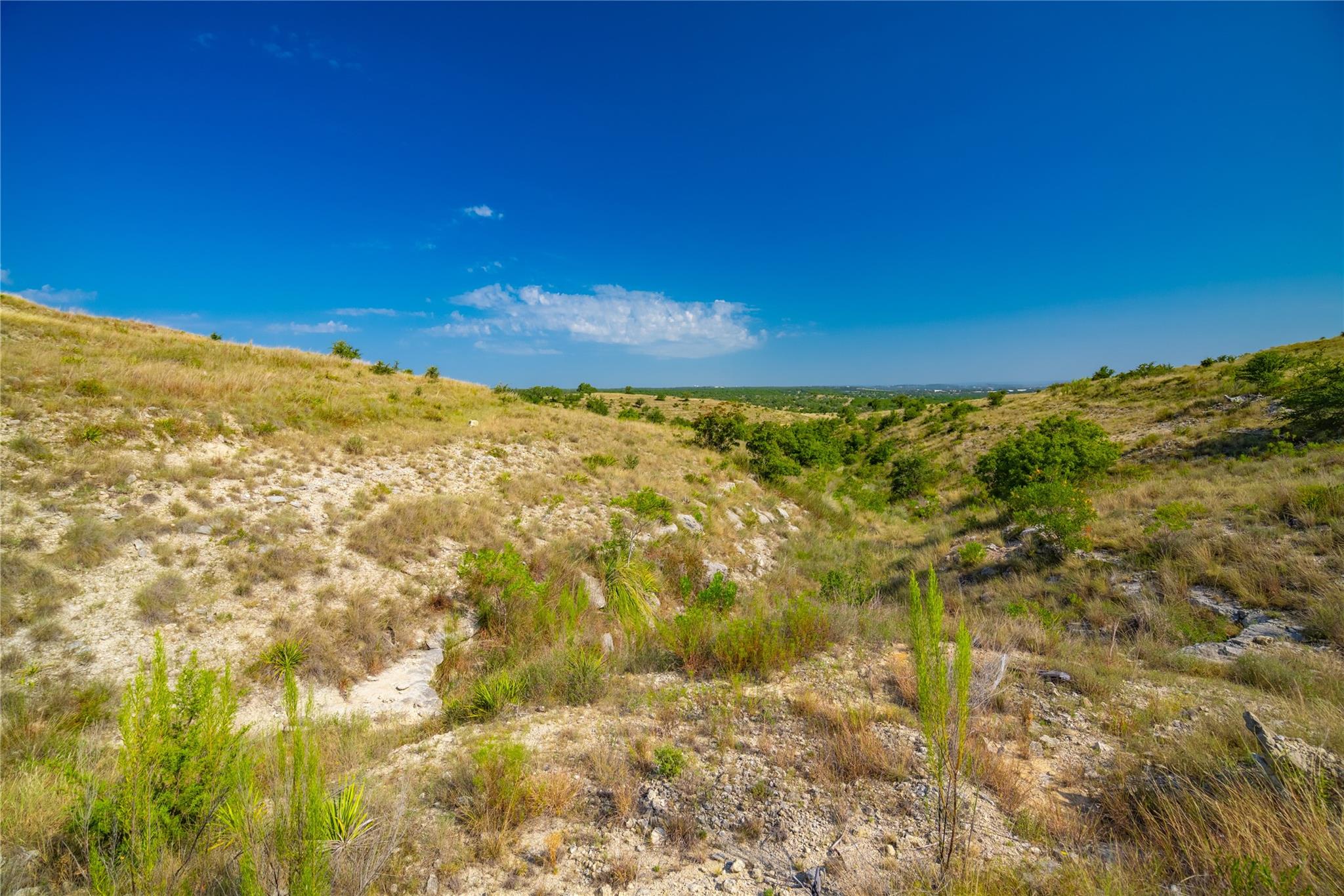 7327 Spiro Trl, Austin, TX 78738