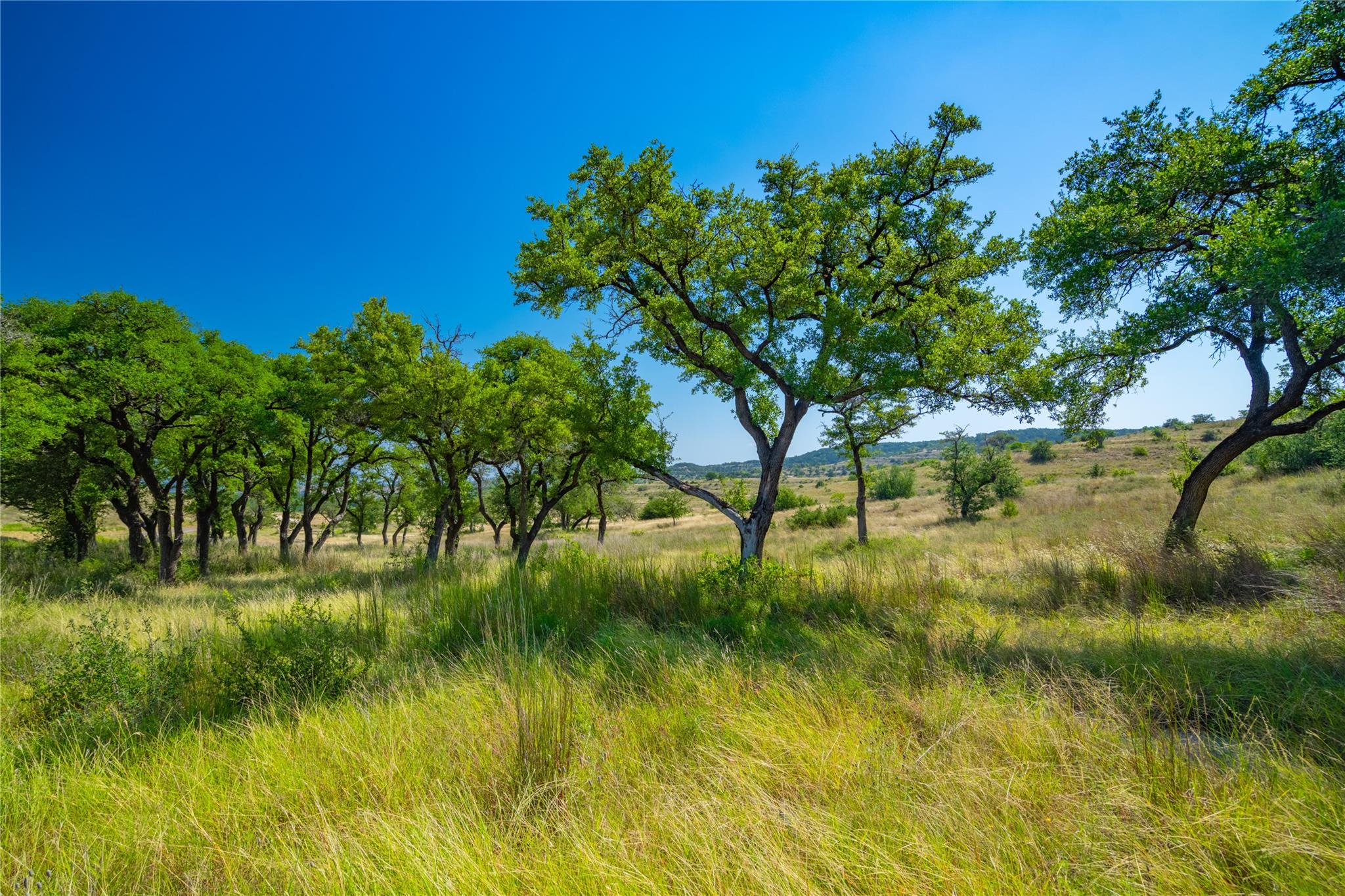 7327 Spiro Trl, Austin, TX 78738