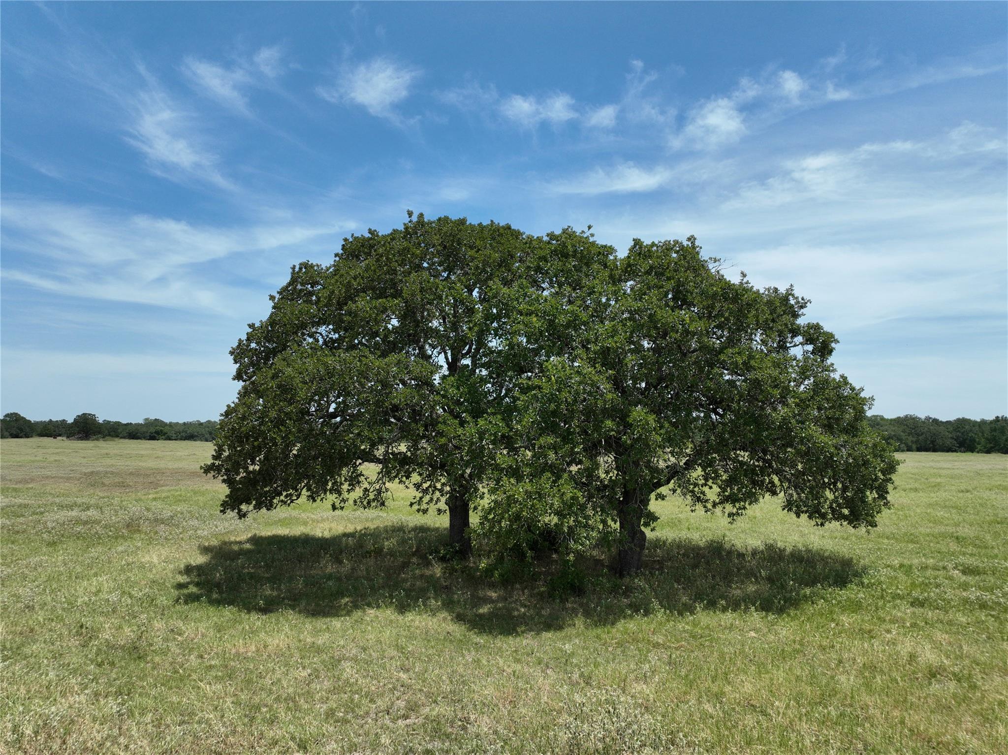 LOT 1 TBD County Road 127 Rd, Ledbetter, TX 78946