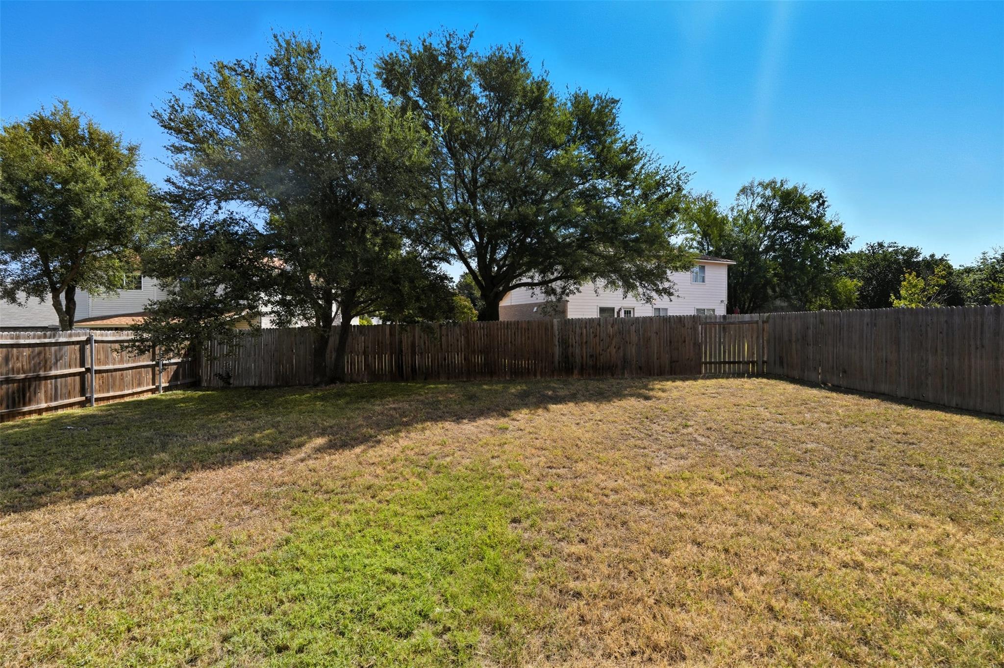 1312 Rosie Ln, Cedar Park, TX 78613