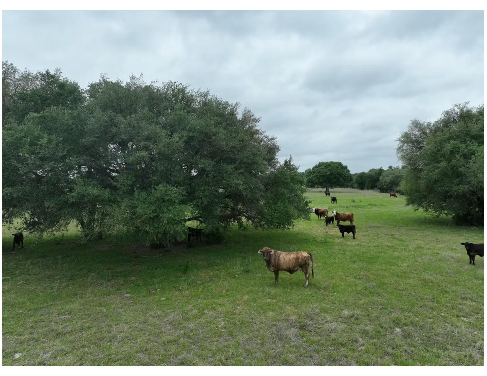 Lot 2 TBD CR 127 Rd, Ledbetter, TX 78946
