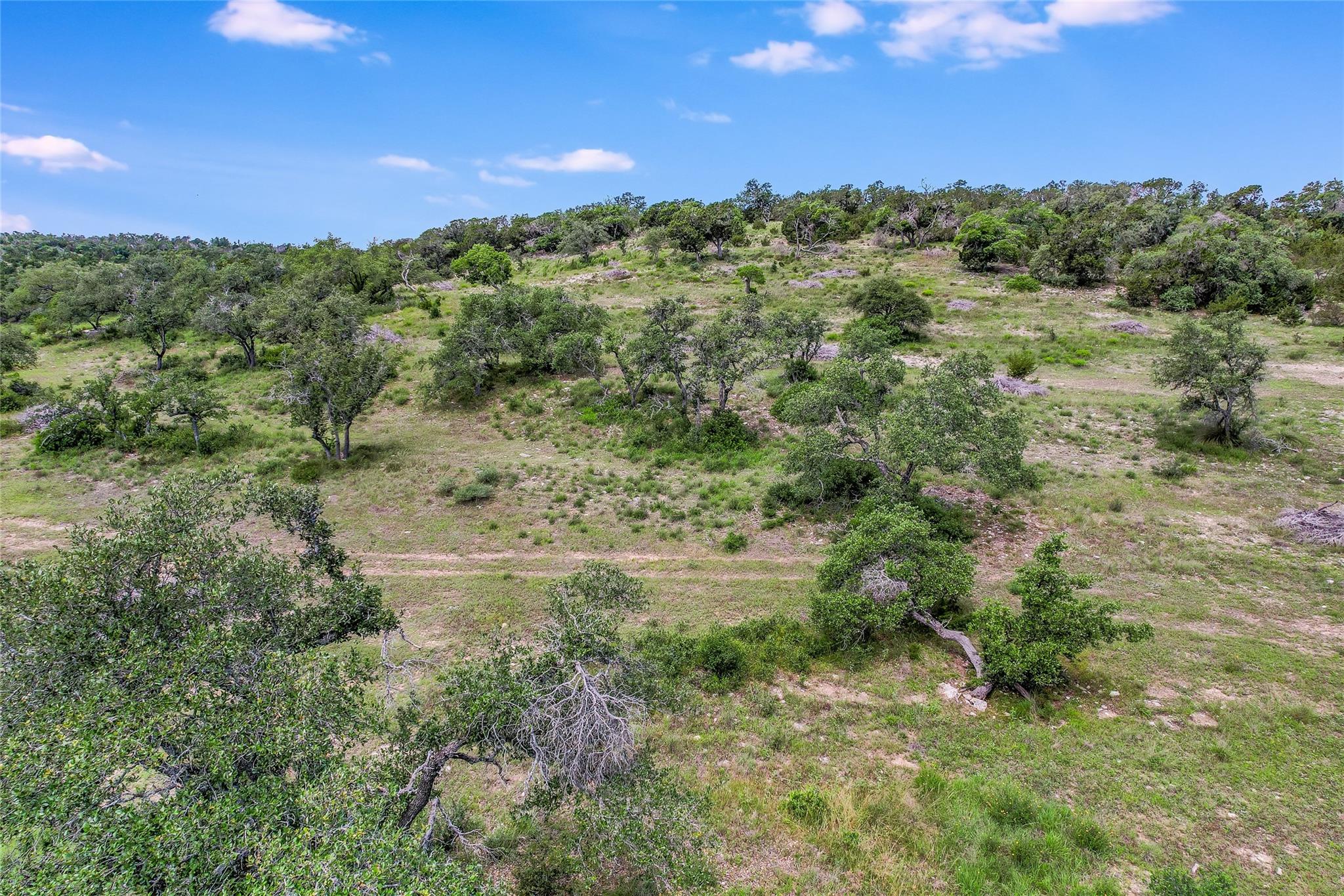 8 Newman Dr, Austin, TX 78738